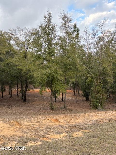 Image 6 For 2816 Territory Road