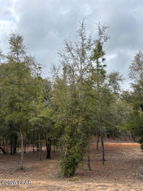 Image 8 For 2816 Territory Road