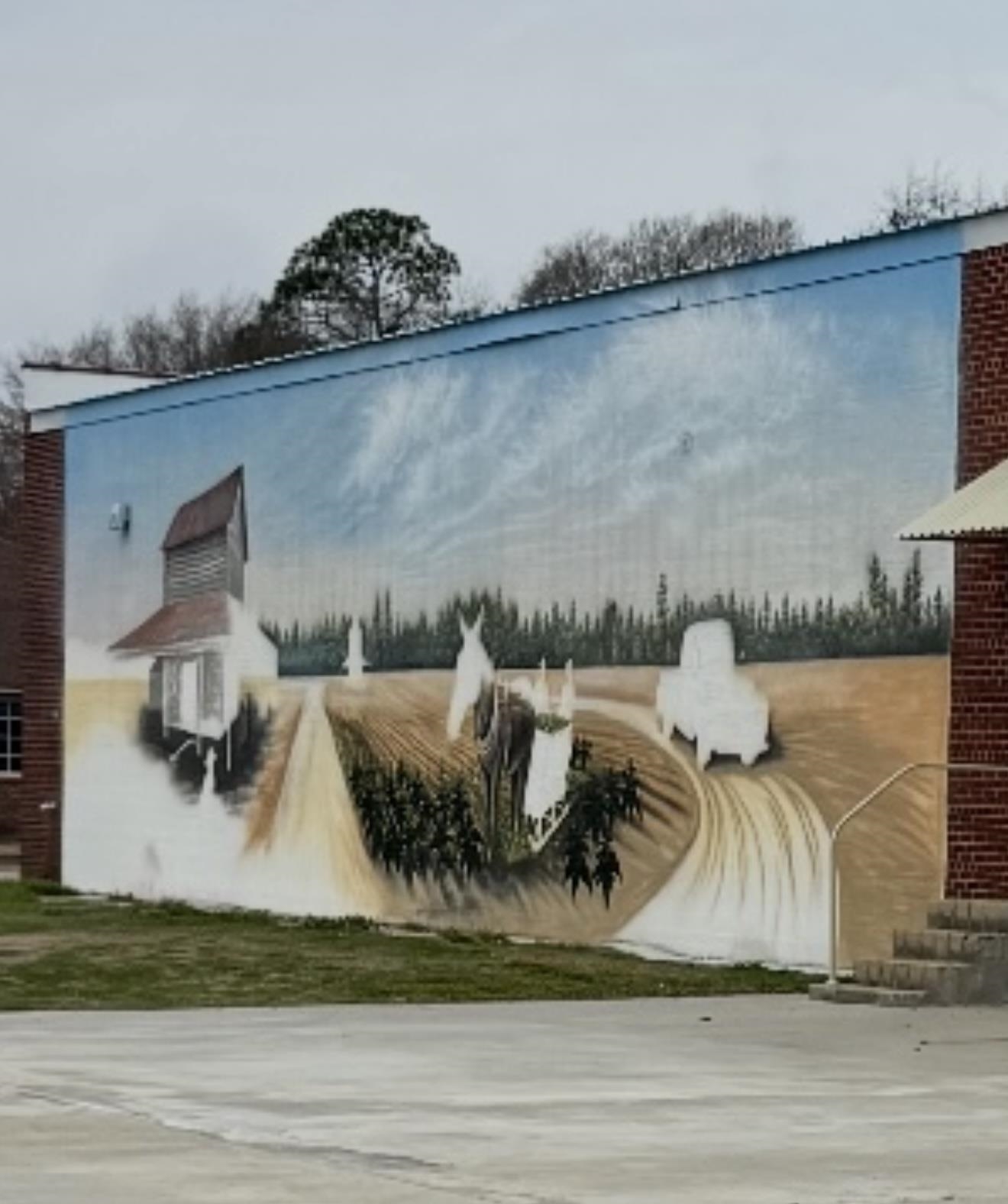 2604495 | Photo 19