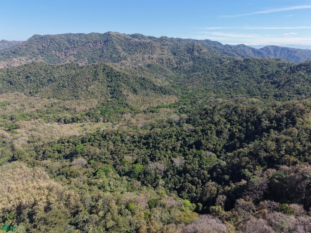  bed Land For Sale in Puntarenas, Puntarenas - 1