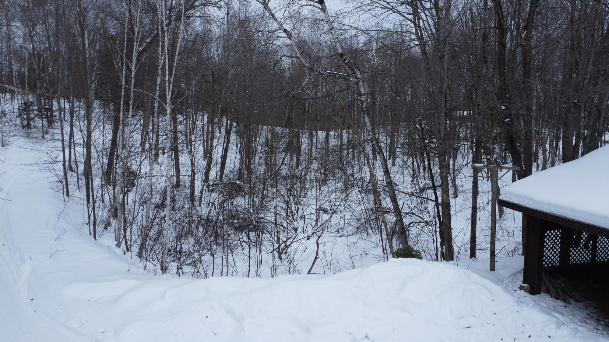 River Property Property 1091 Amber Lake Ln N Photo 20