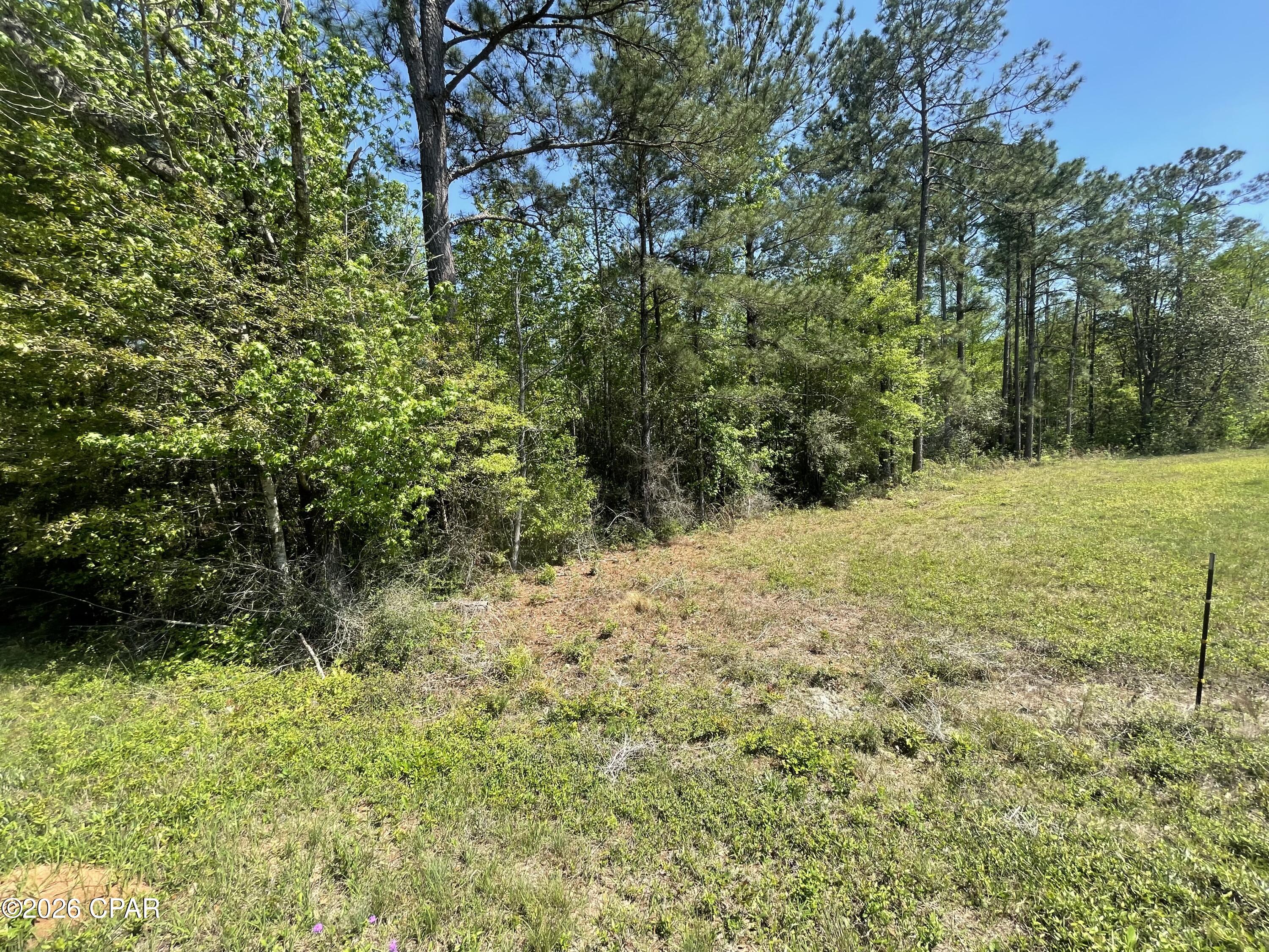 Image 13 For 1683 Highway 162