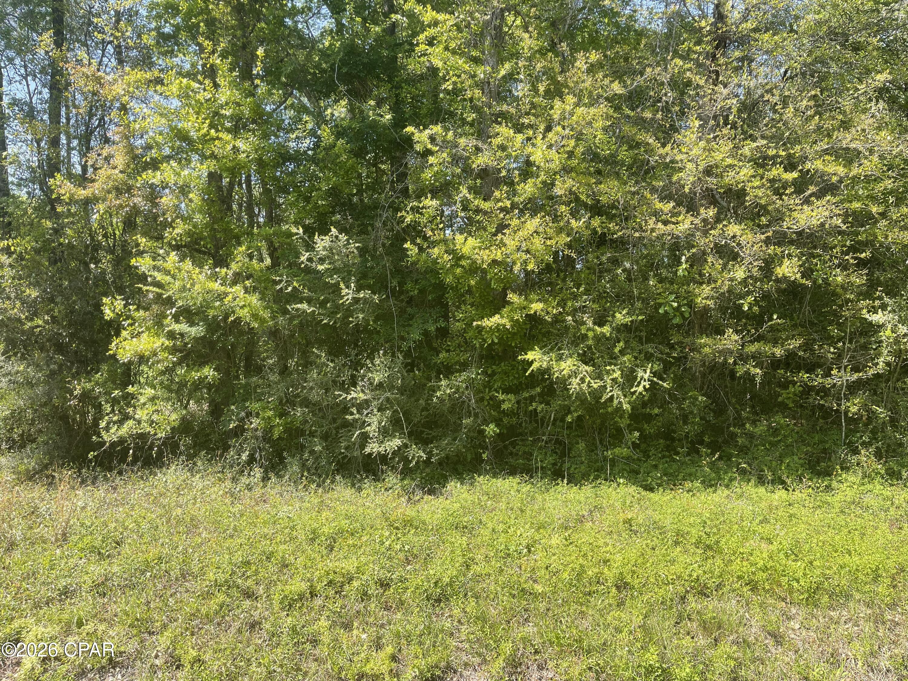 Image 14 For 1683 Highway 162