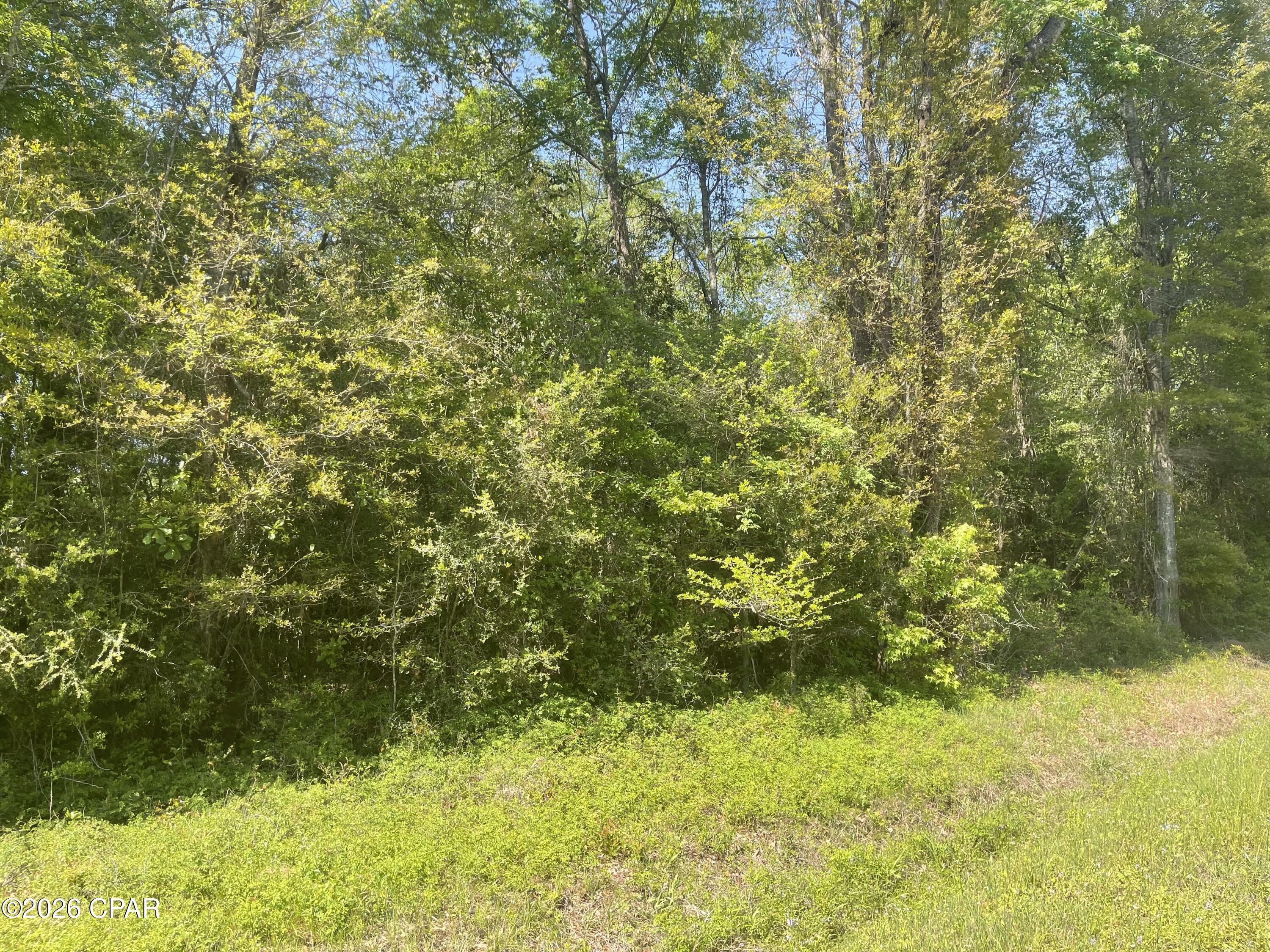 Listing photo id 15 for 1683 Highway 162