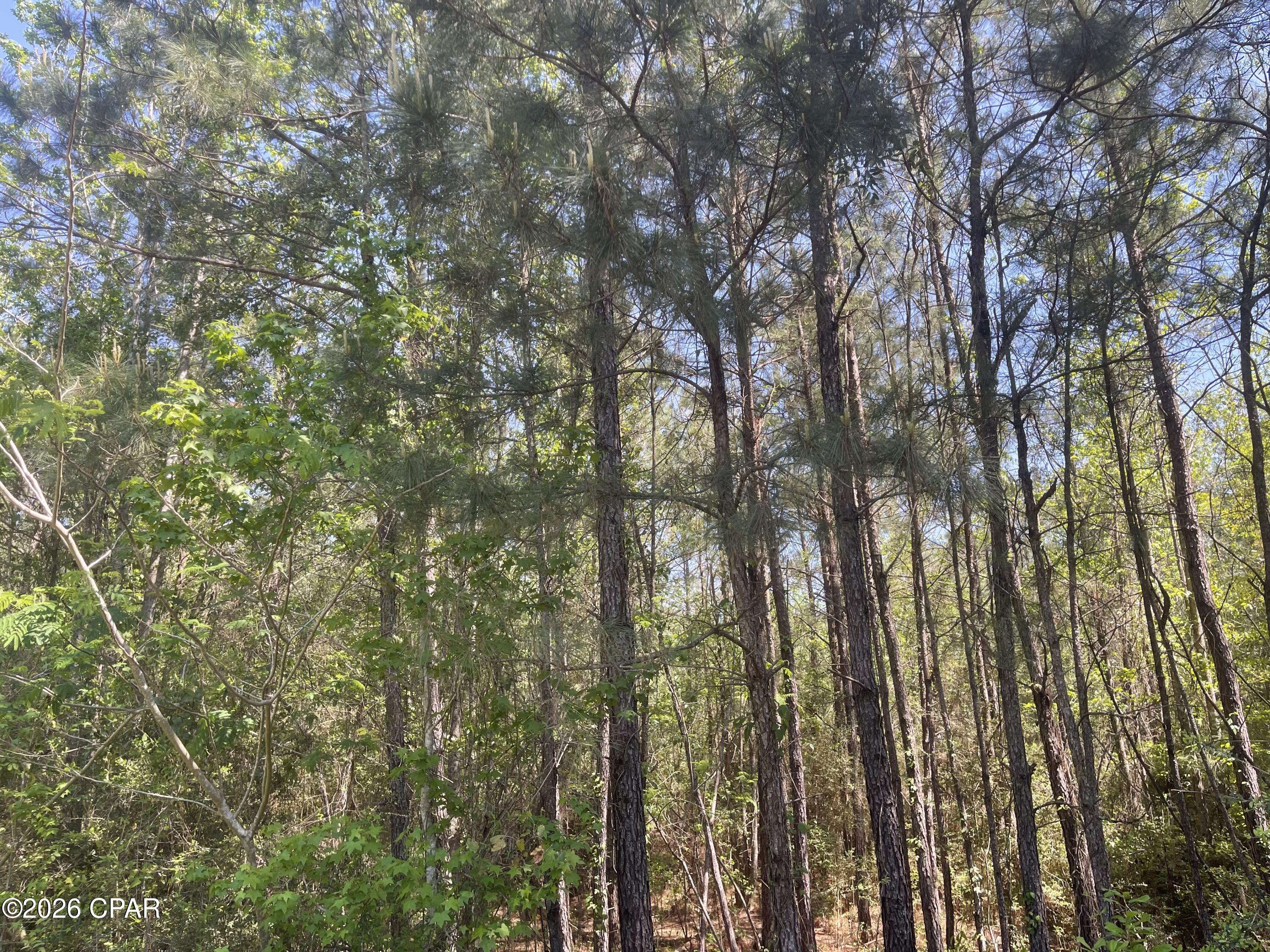 Listing photo id 16 for 1683 Highway 162