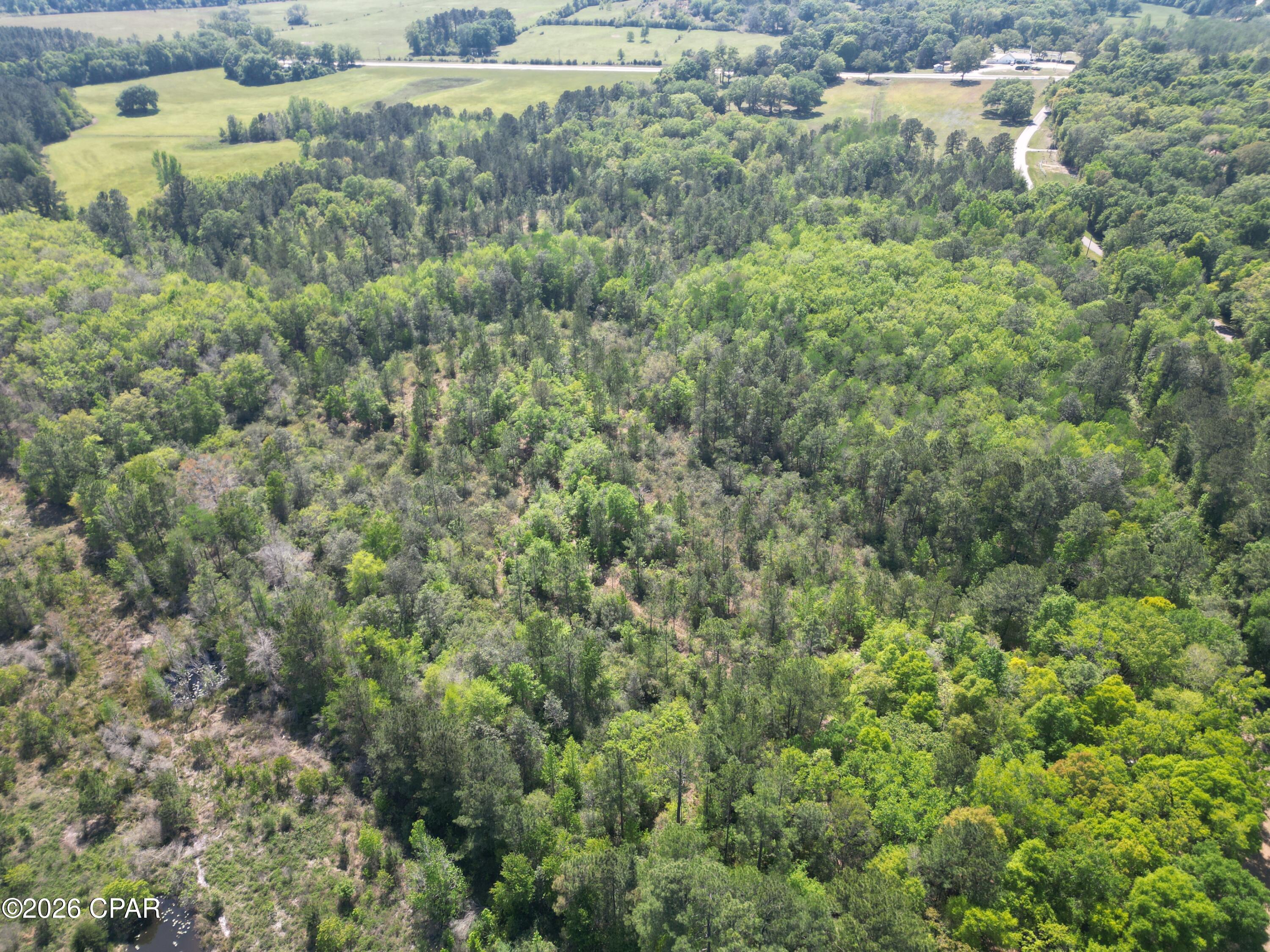 Image 2 For 1683 Highway 162