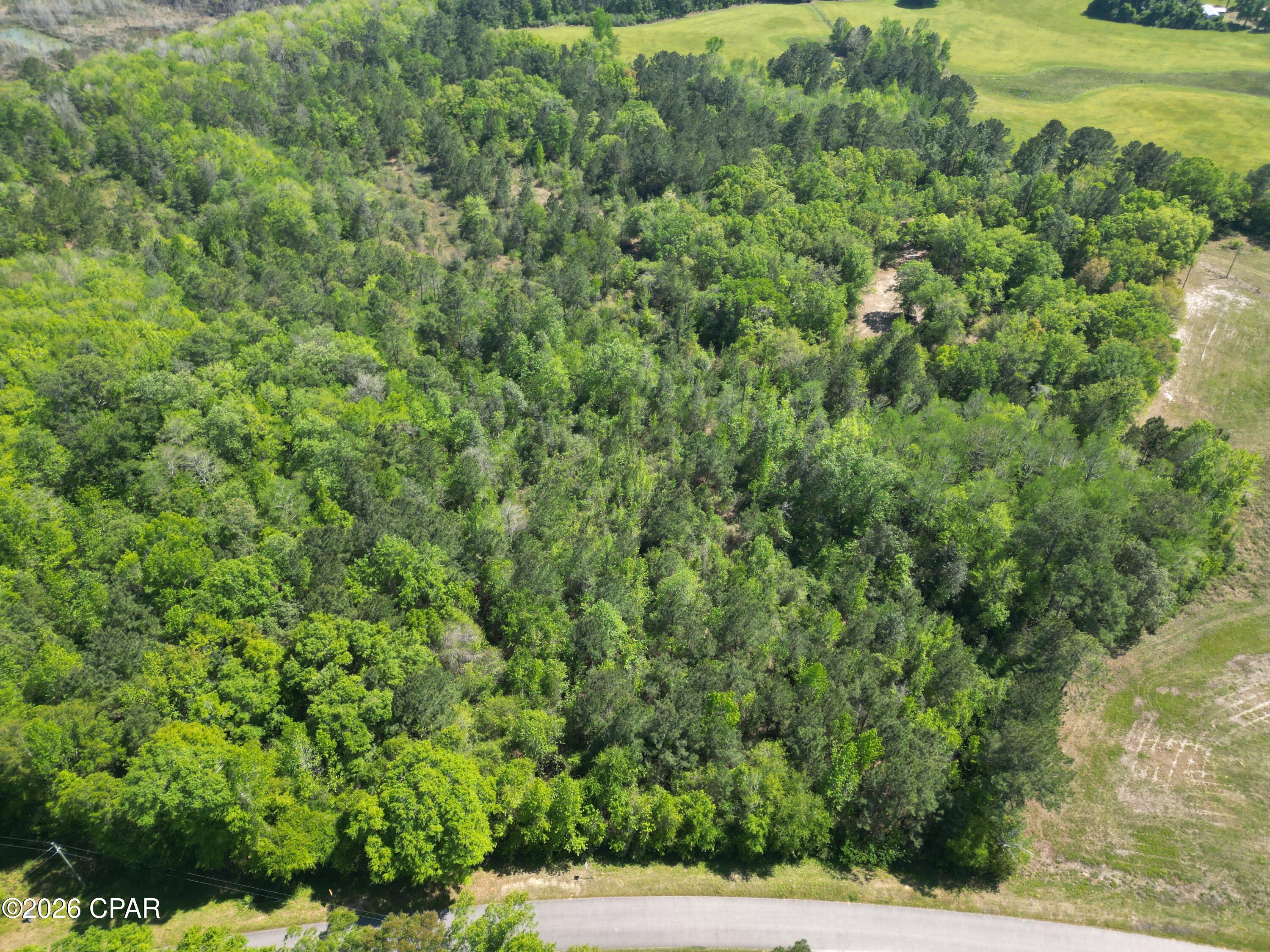 Listing photo id 3 for 1683 Highway 162