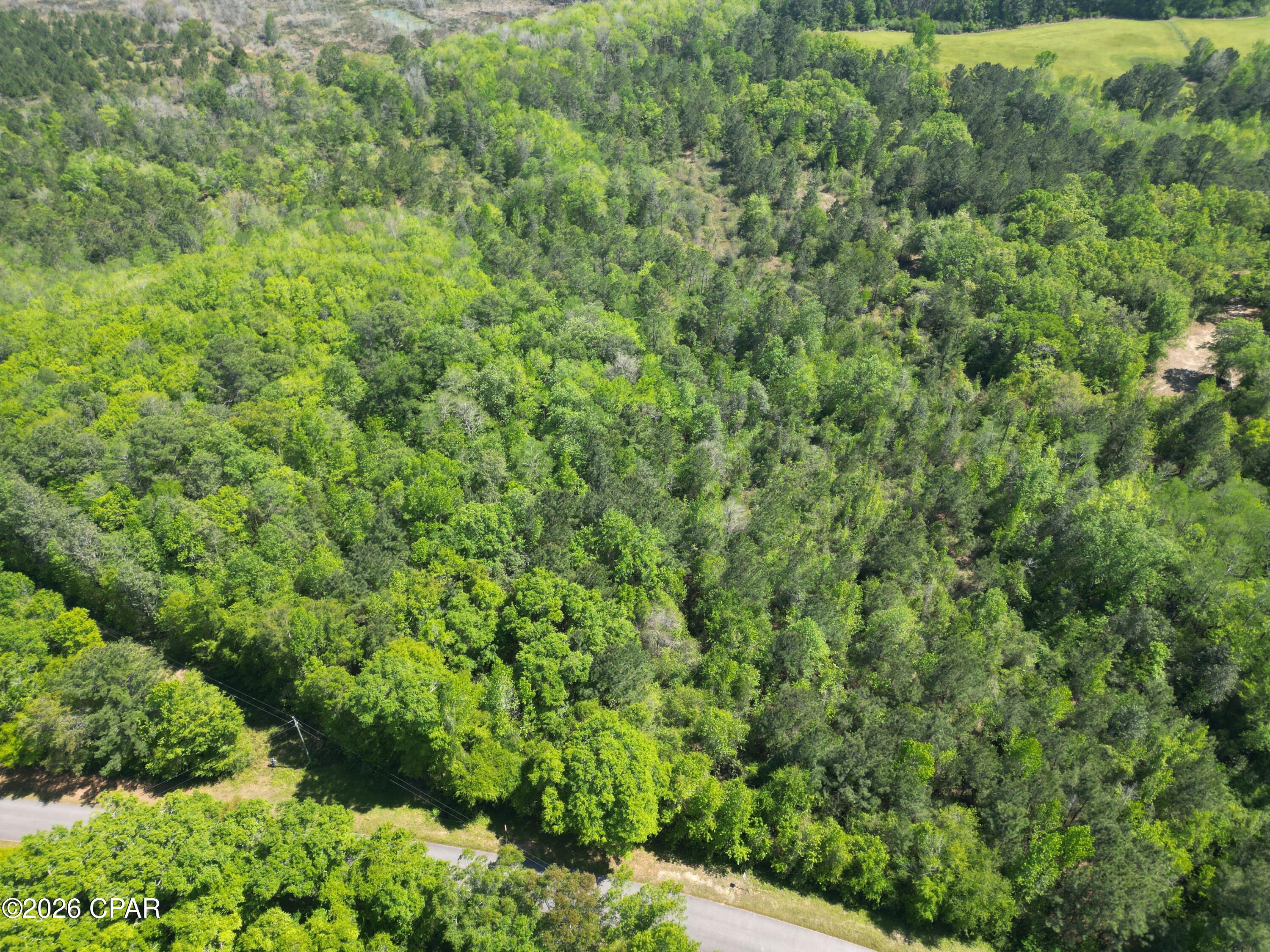 Image 4 For 1683 Highway 162