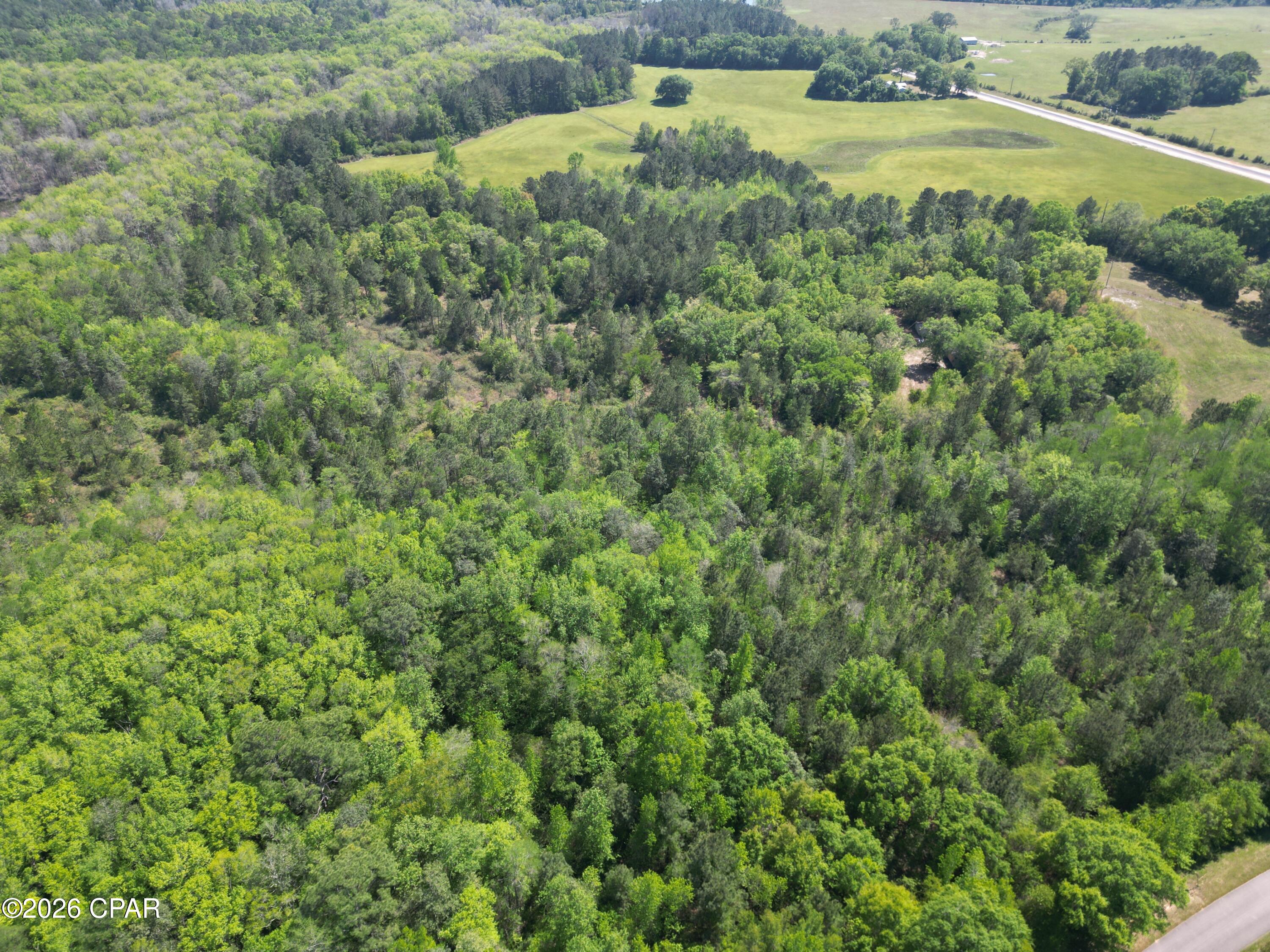 Listing photo id 5 for 1683 Highway 162