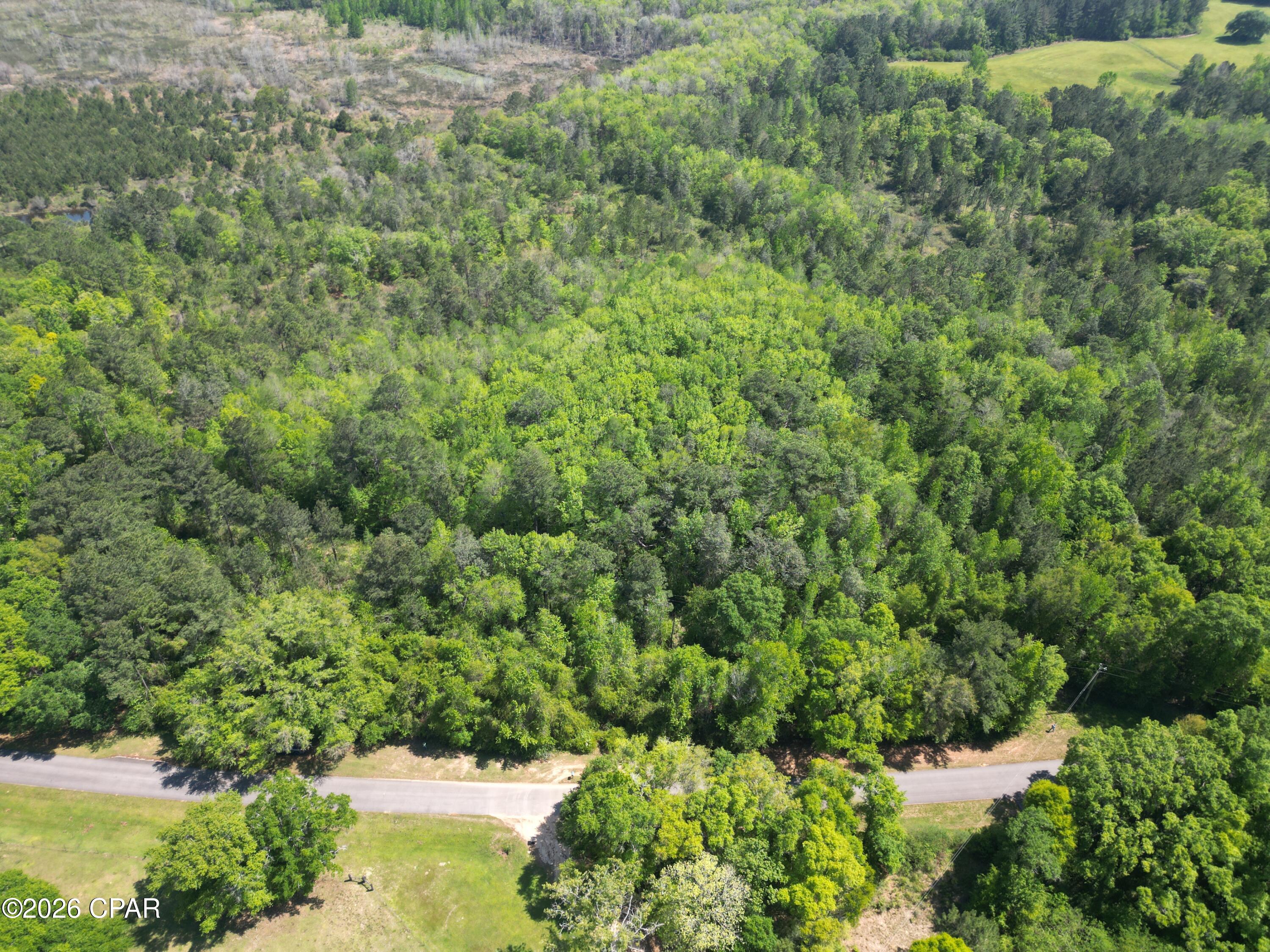 Image 6 For 1683 Highway 162