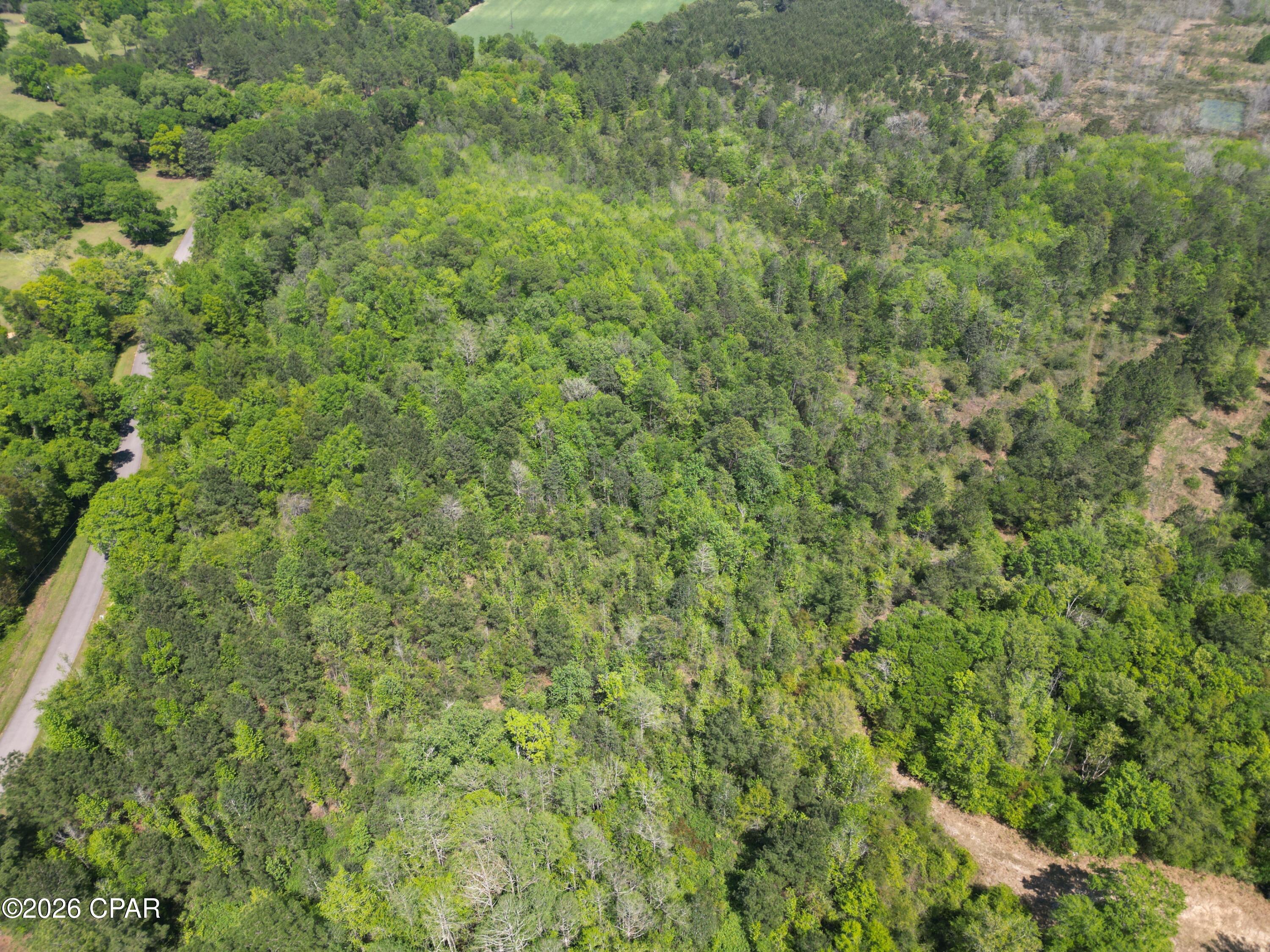 Listing photo id 7 for 1683 Highway 162