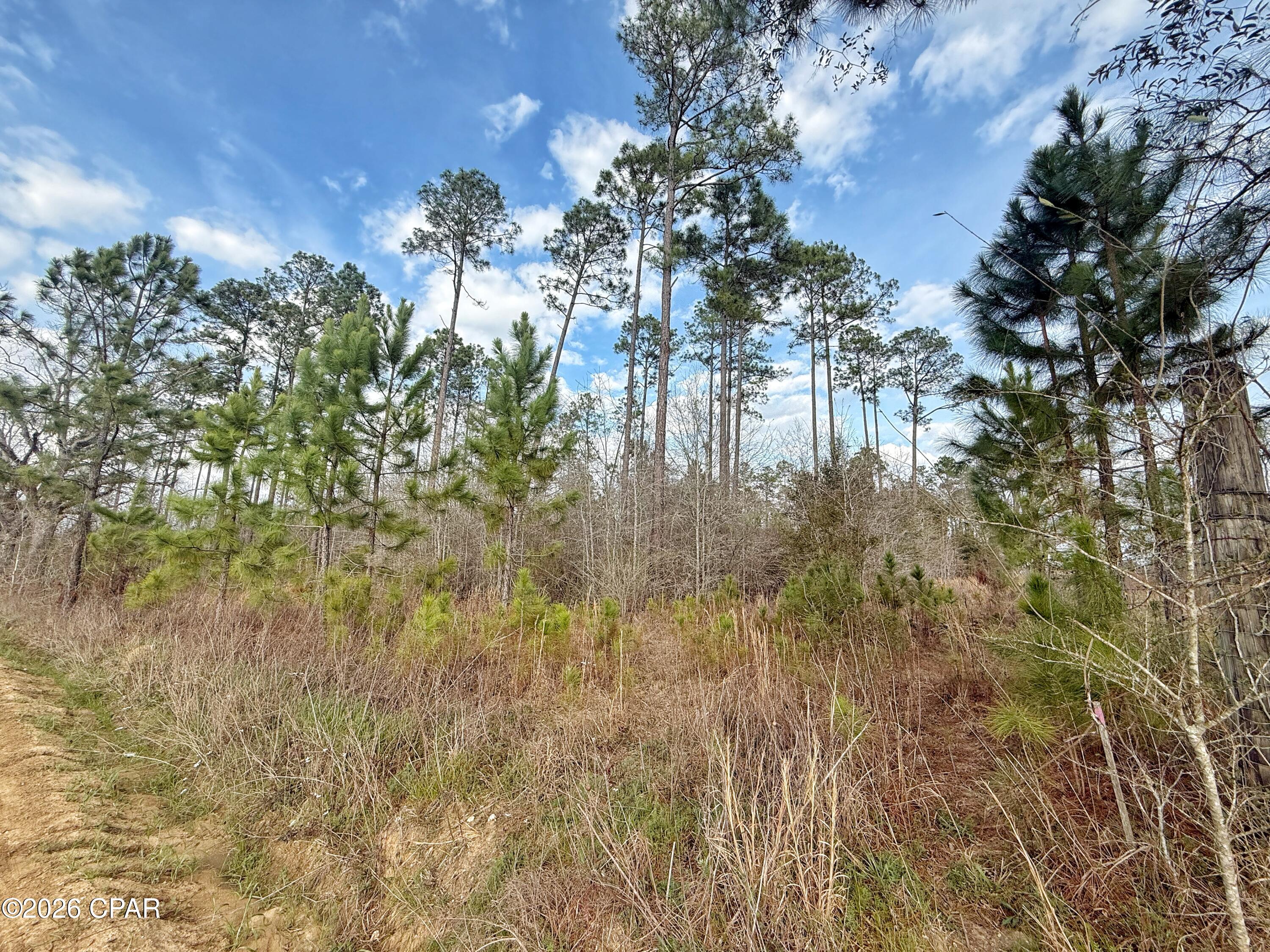 Details for 00 Palmview Lane, Cottondale, FL 32431