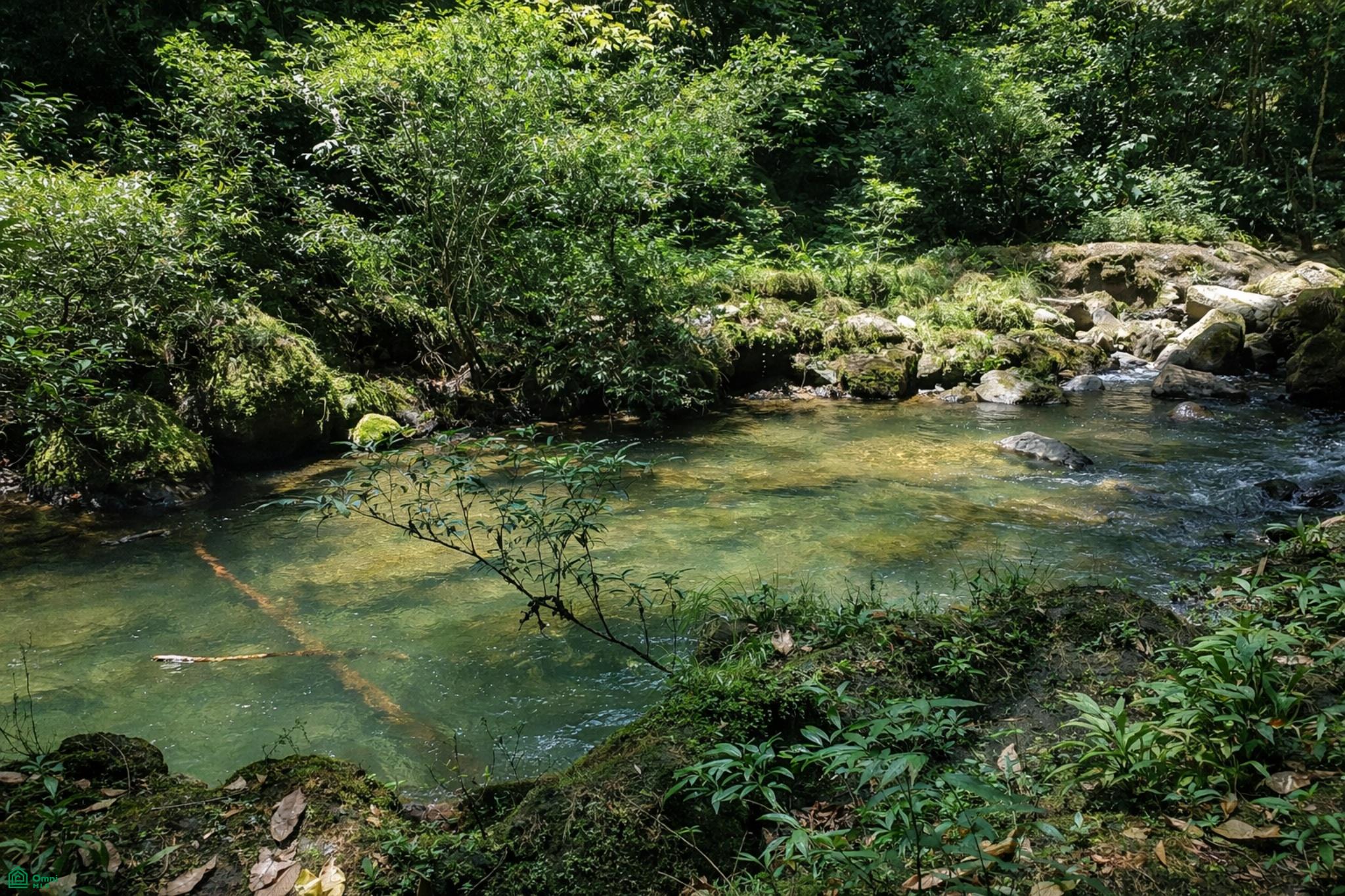  bed Land For Sale in Sarapiqui, Heredia - 1
