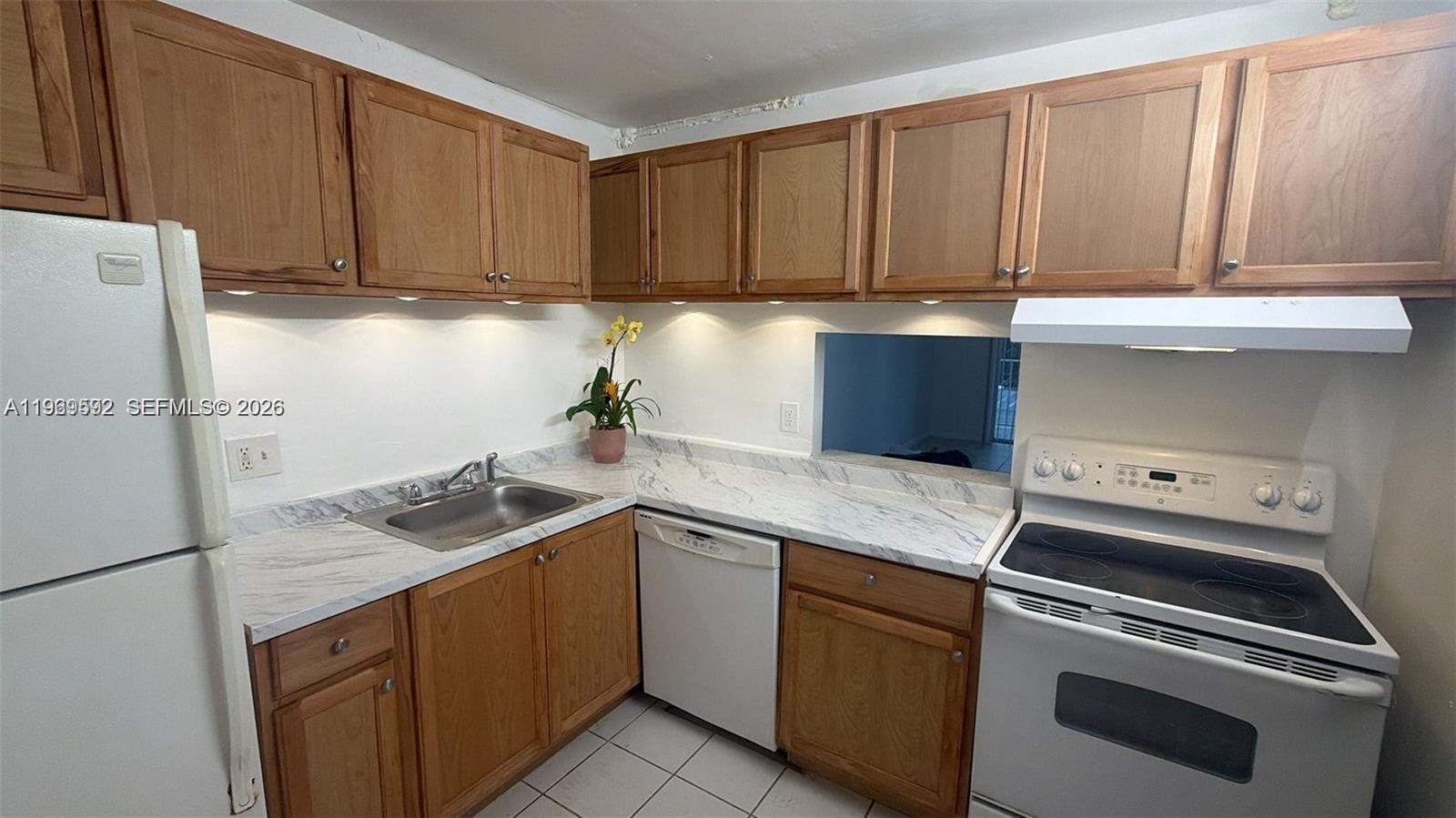 Breakwaters Of The Palm B