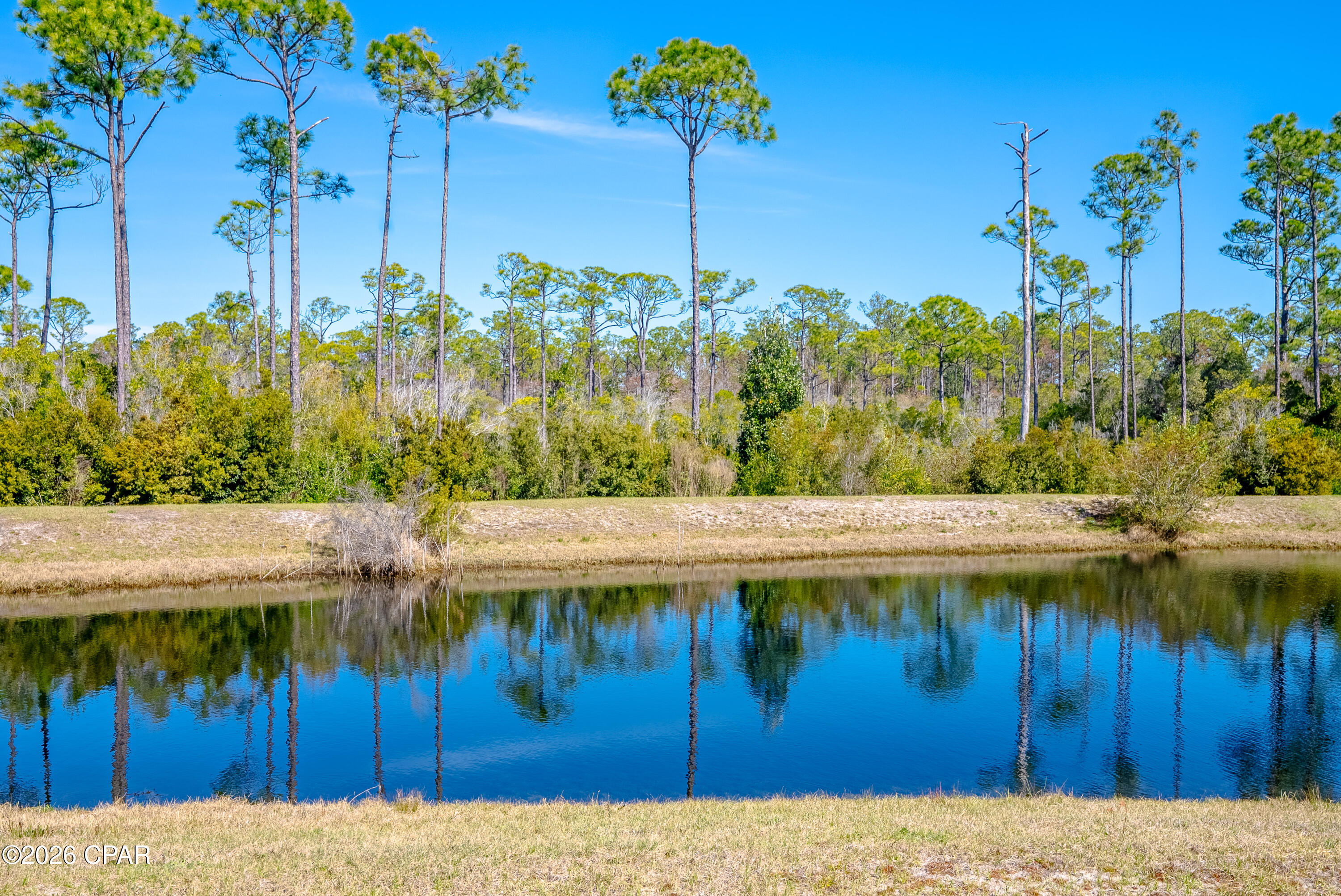 Image 31 For 253 Wells Street