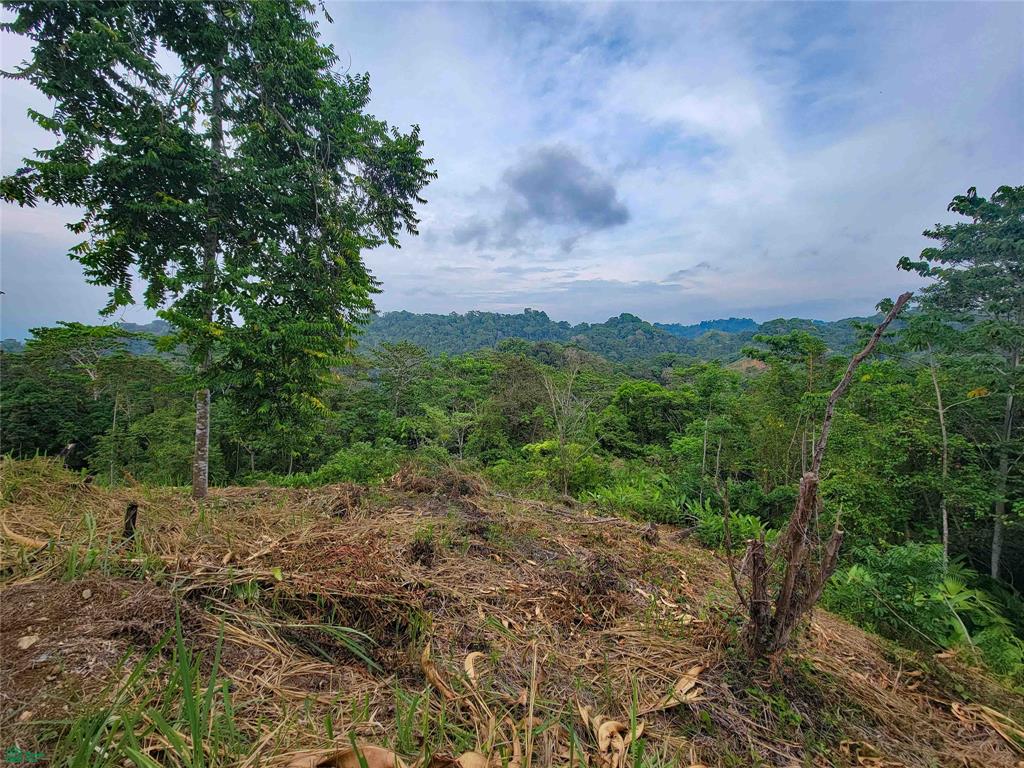  bed Land For Sale in Golfito, Puntarenas - 1