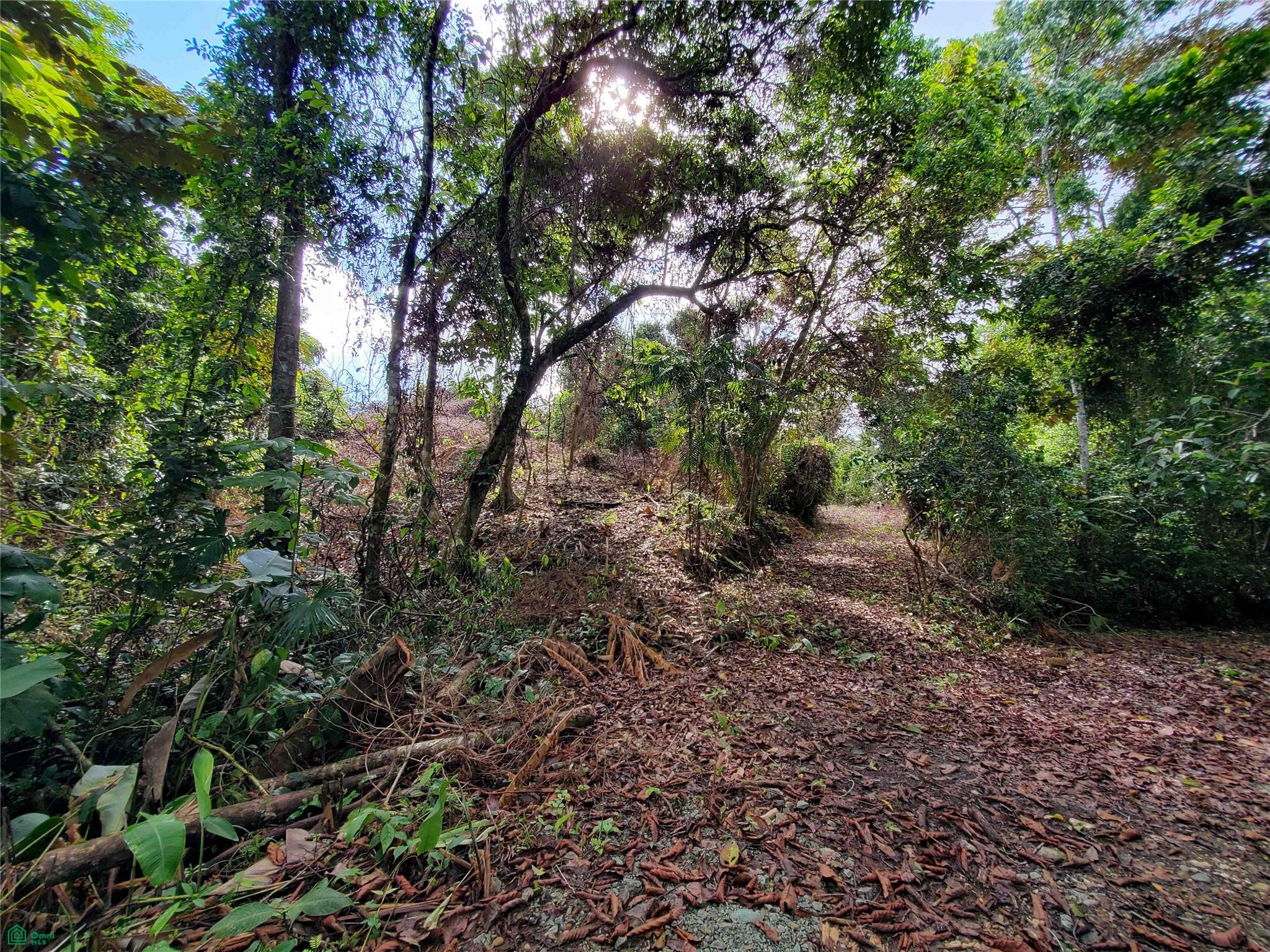  bed Land For Sale in Golfito, Puntarenas - 1