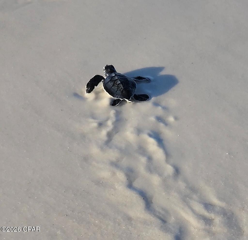 Image 13 For 107 26th Street