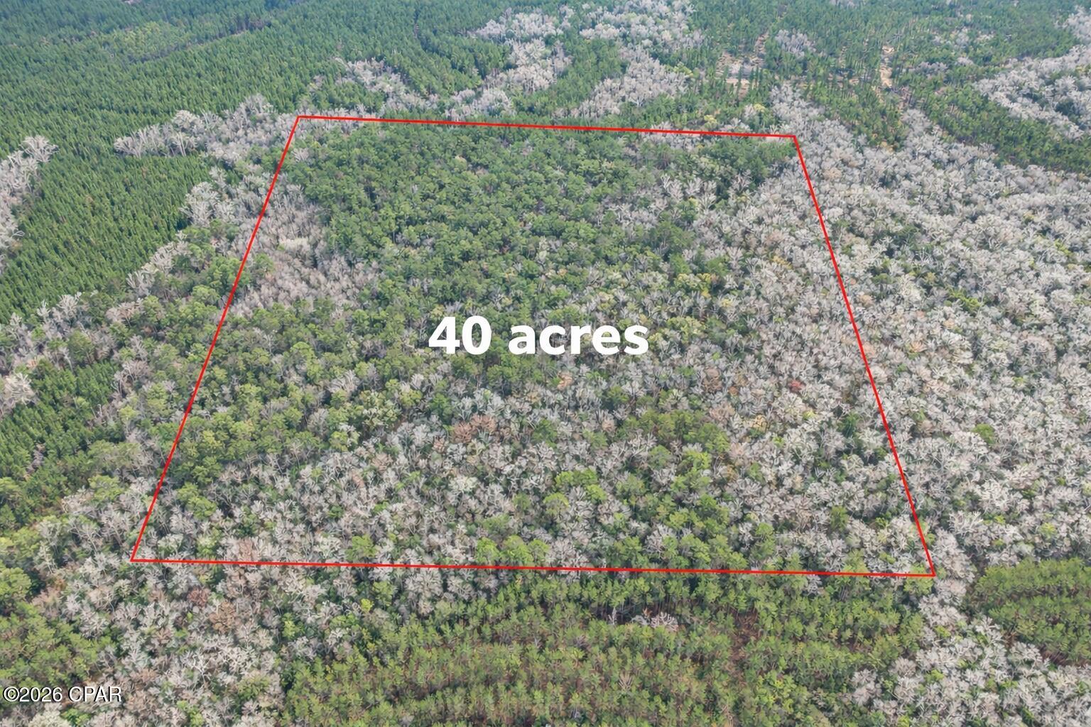 Details for 00 Clemmons Rd Road, Bonifay, FL 32425