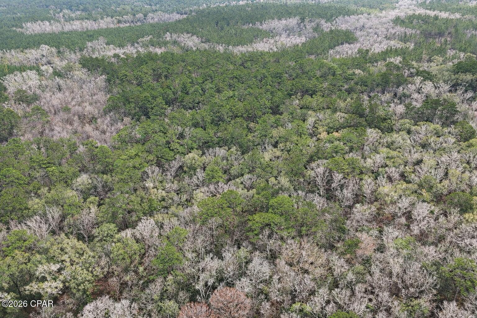 2nd image of 00 Clemmons Rd, Bonifay, FL 32425 | MLS# 785645