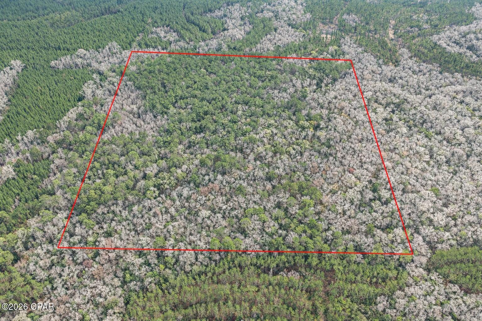 5th image of 00 Clemmons Rd, Bonifay, FL 32425 | MLS# 785645