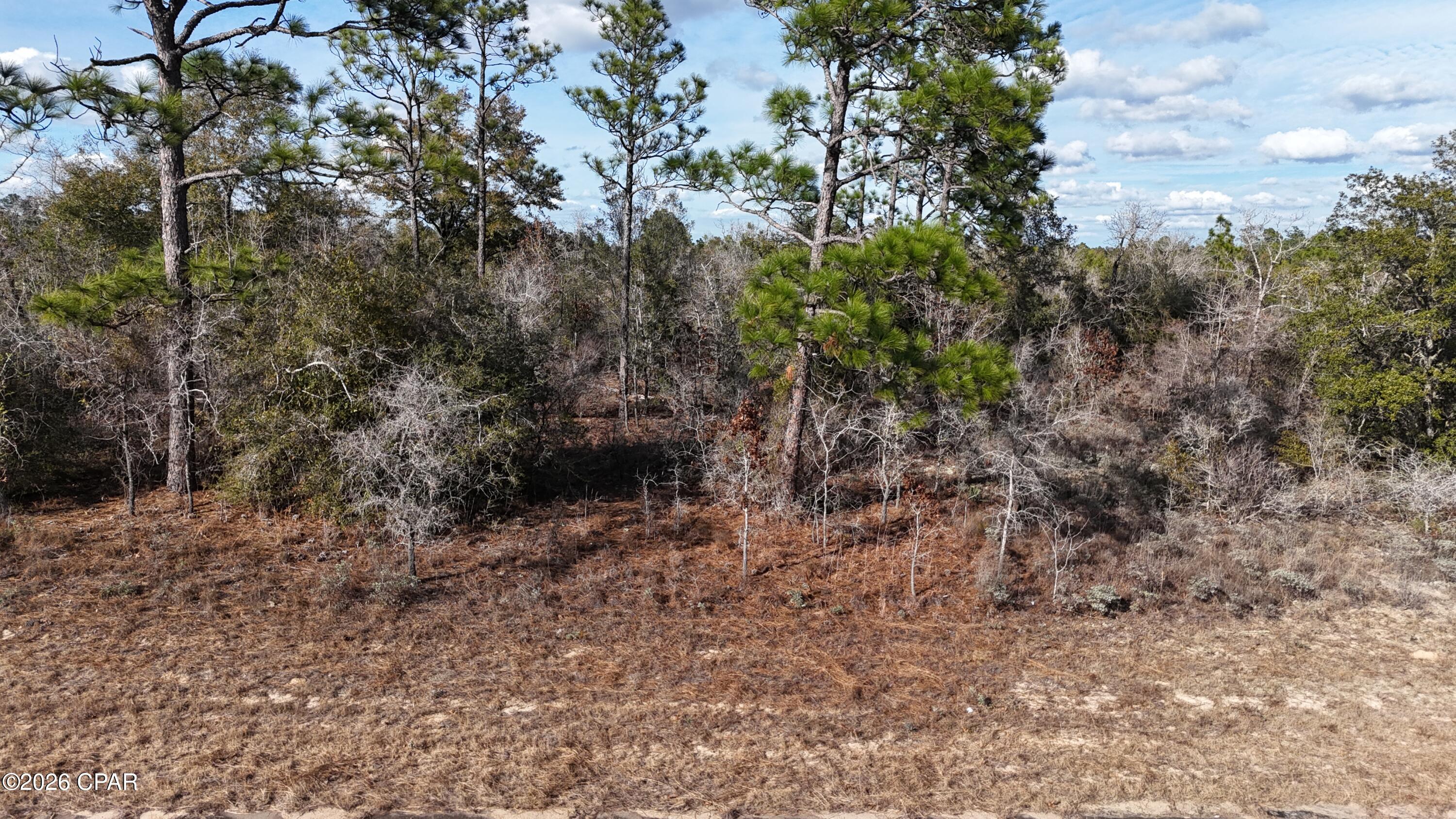 Details for 00 Bluestone Drive, Chipley, FL 32428