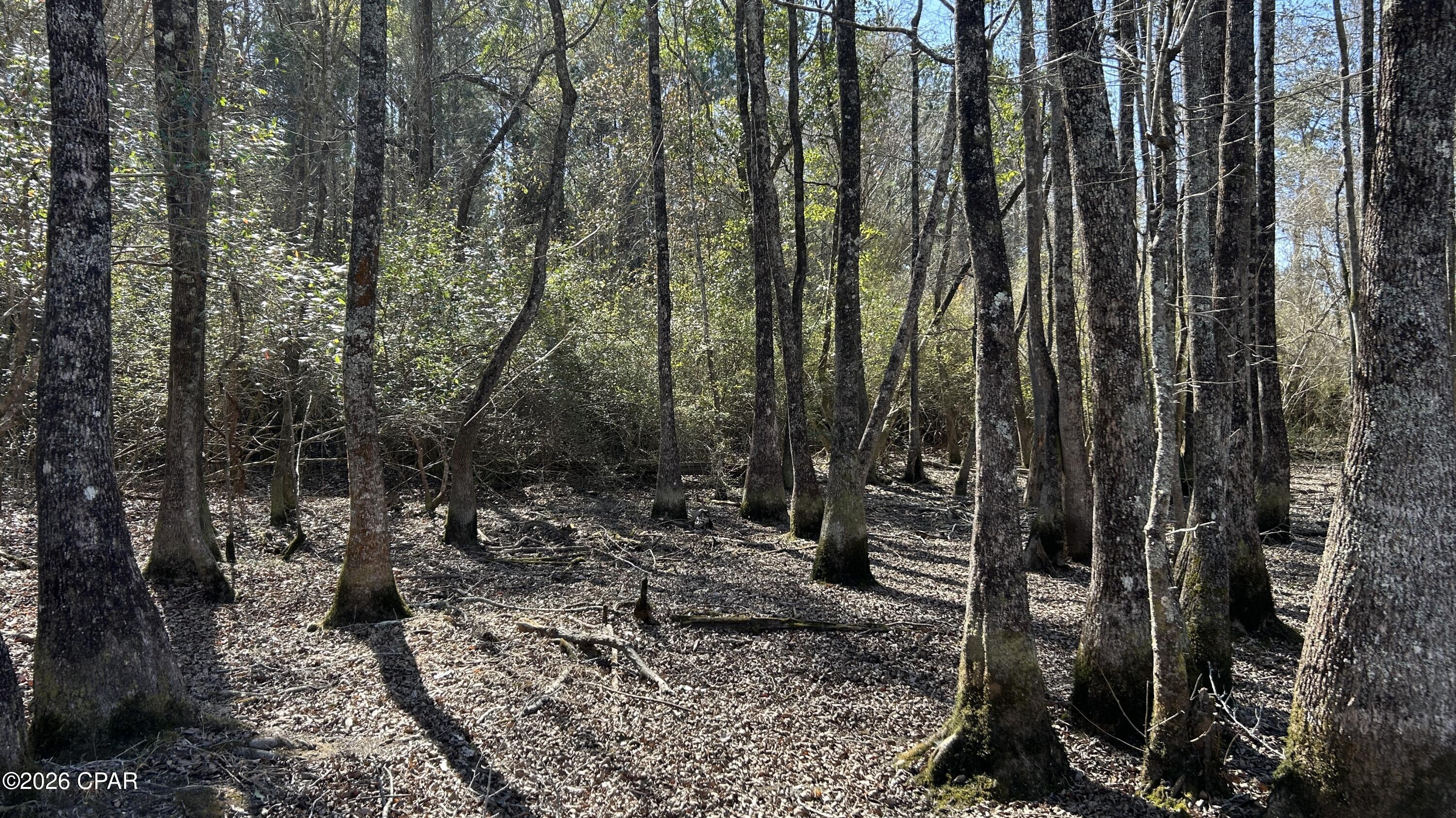 Image 18 For 0 0 Grimes Road Lot #1