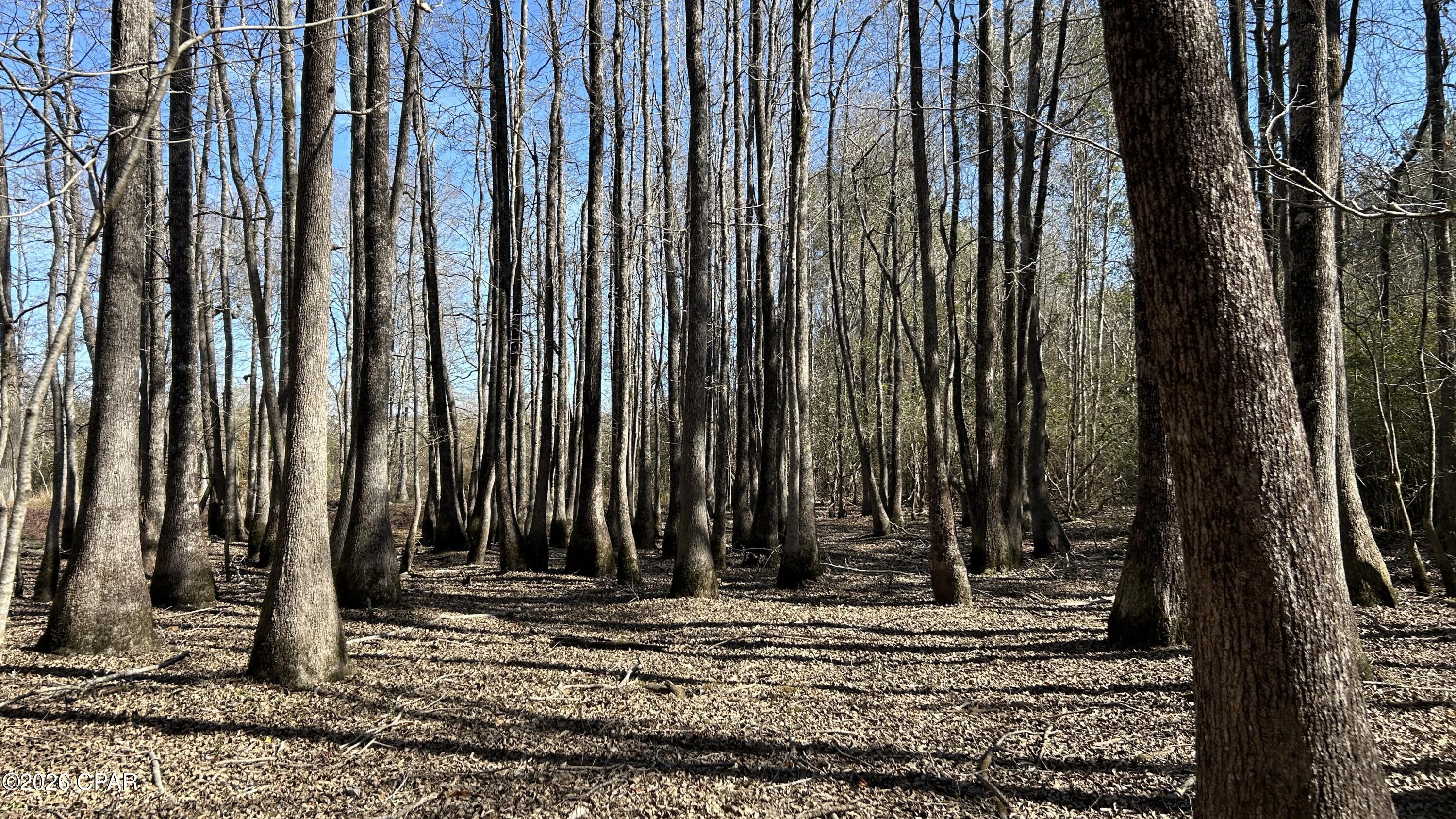 Image 19 For 0 0 Grimes Road Lot #1