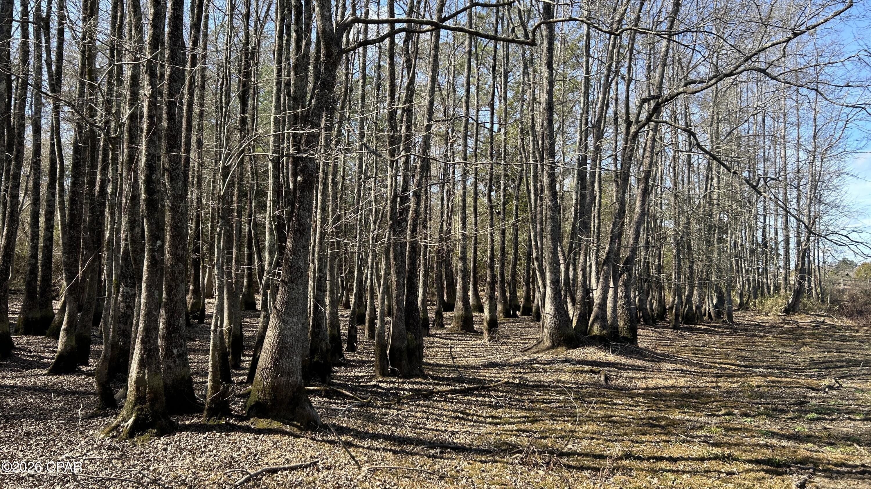 Image 20 For 0 0 Grimes Road Lot #1