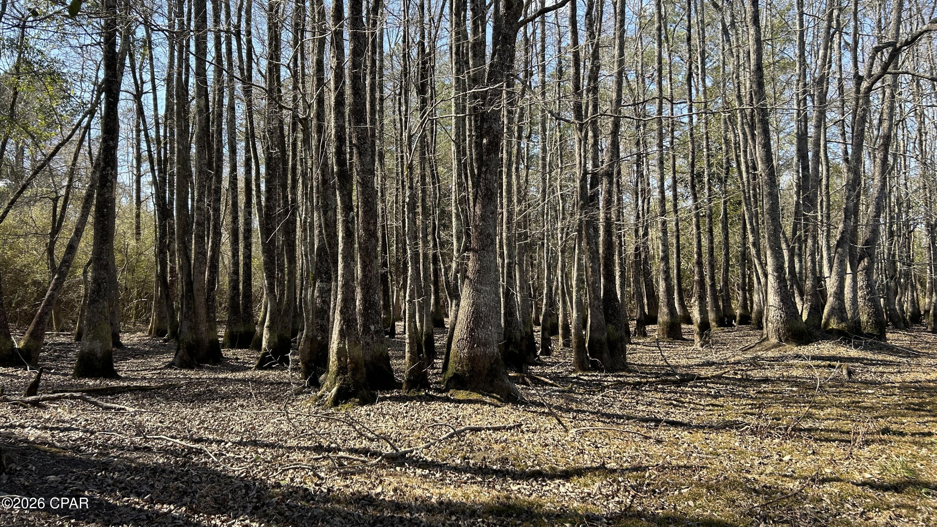 Image 21 For 0 0 Grimes Road Lot #1