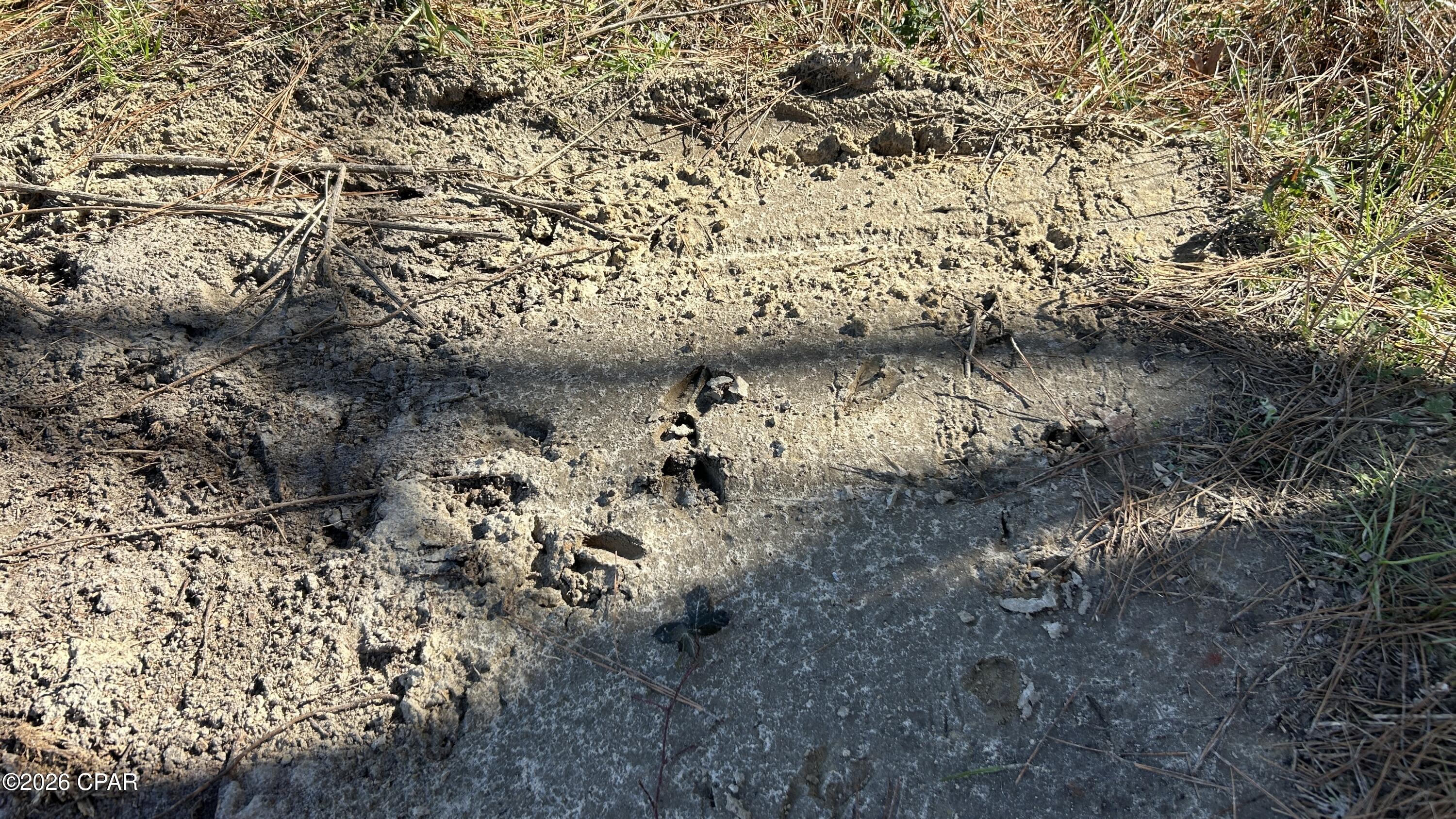 Image 22 For 0 0 Grimes Road Lot #1