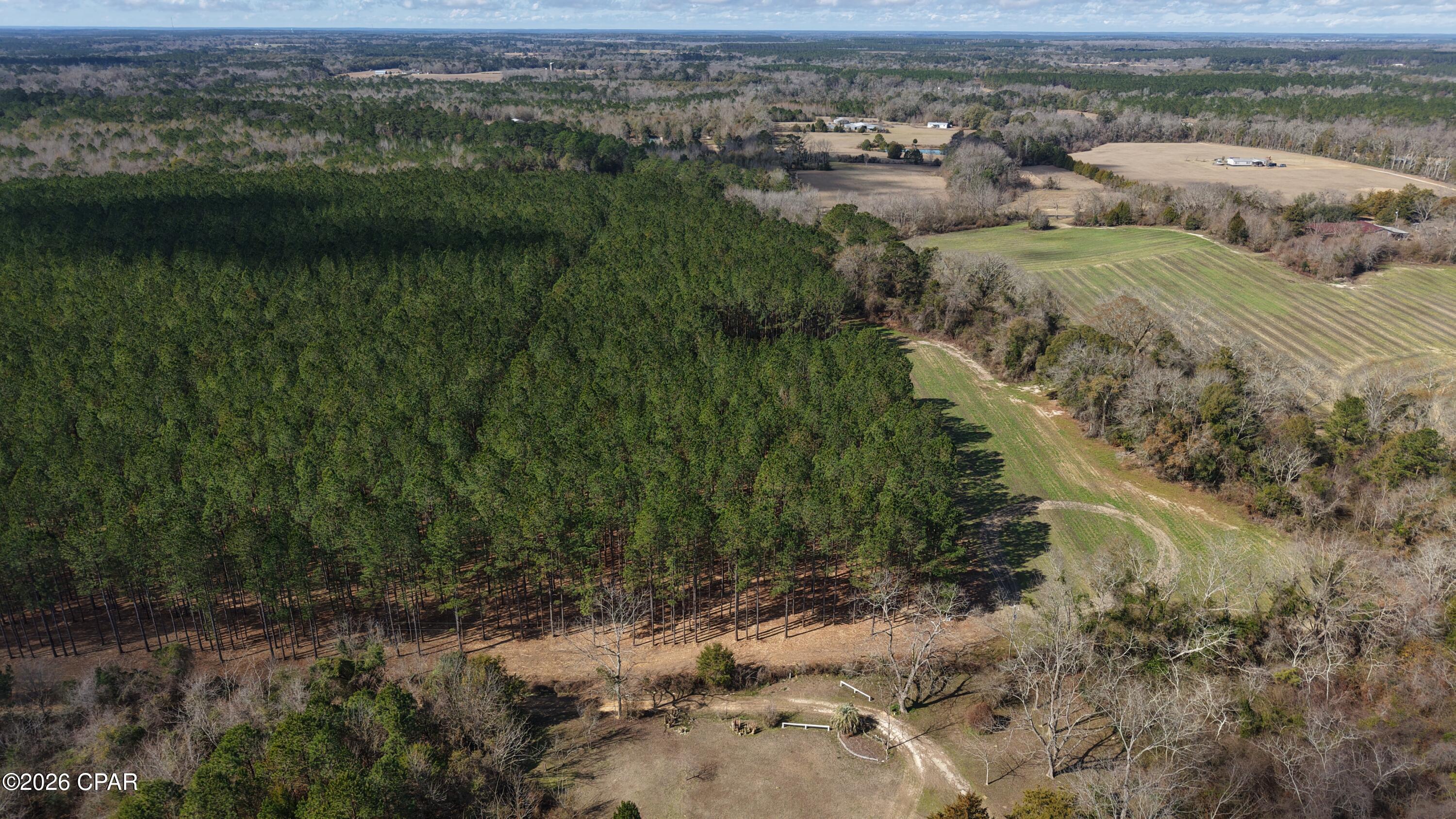 Image 27 For 0 0 Grimes Road Lot #1