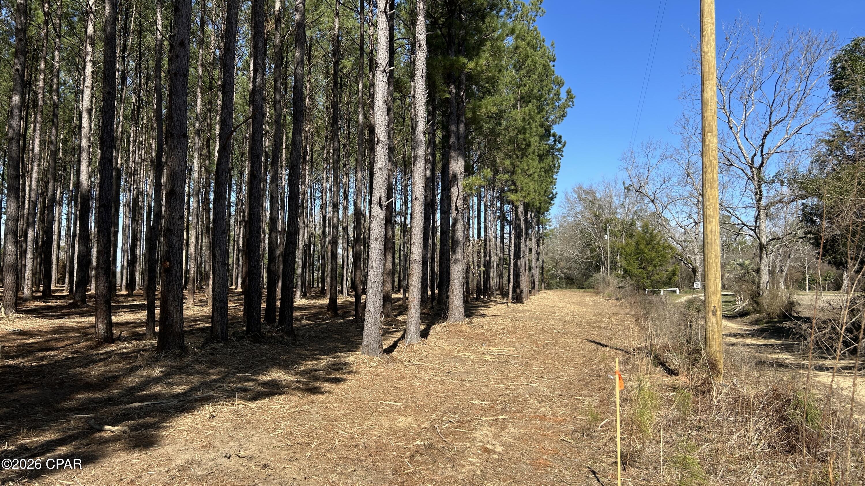 Image 6 For 0 0 Grimes Road Lot #1