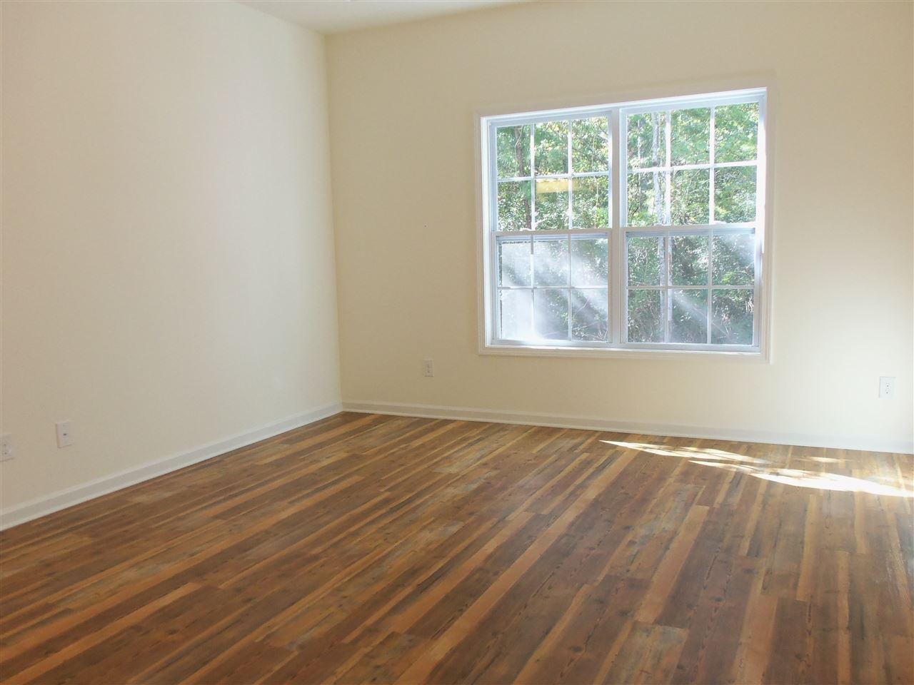 2604699 | Photo 22