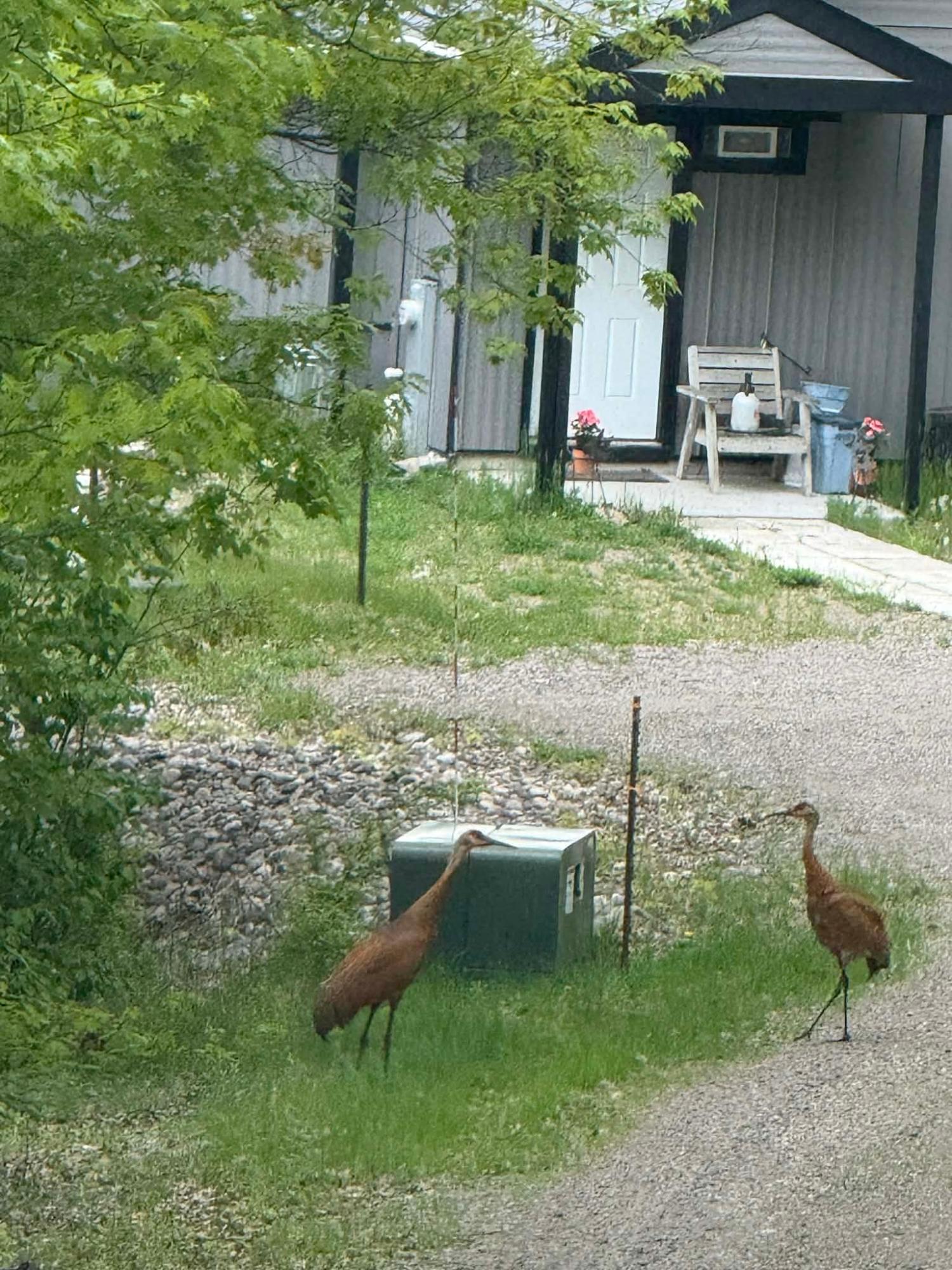 Nose Lake Property 2808 High Peak Rd Photo 55