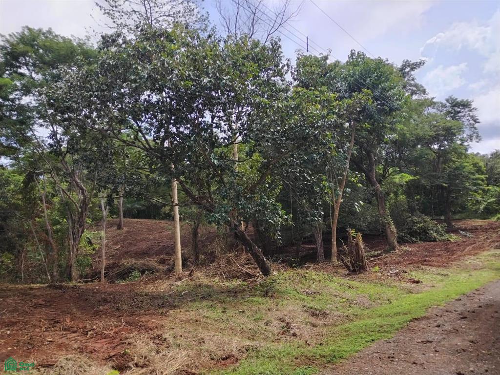  bed Land For Sale in Santa Cruz, Guanacaste - 1