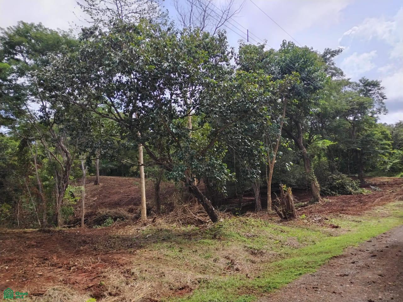 Property at Santa Cruz