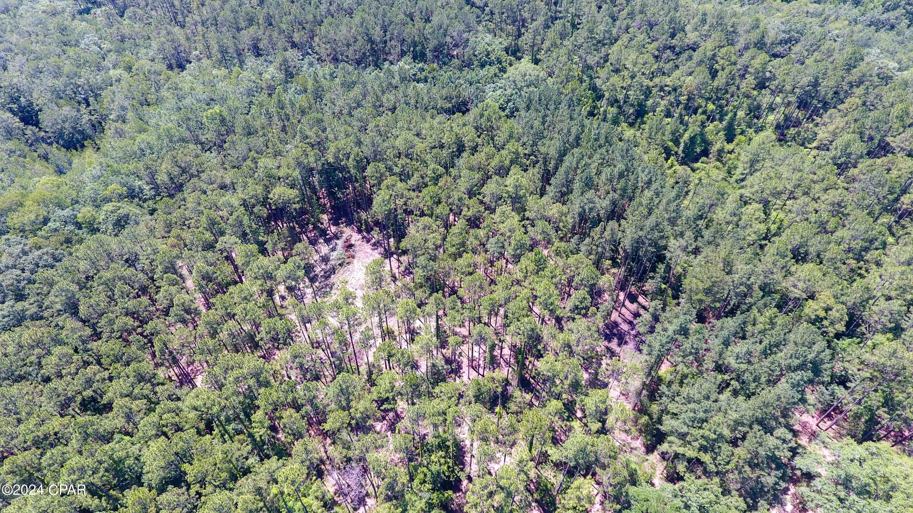 Image 7 For Tbd Hwy 177a  Lot 22
