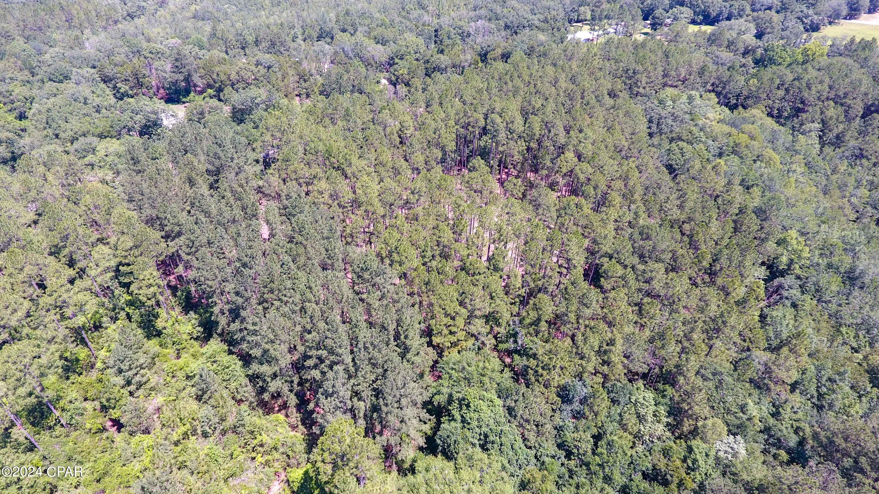 Image 9 For Tbd Hwy 177a  Lot 22