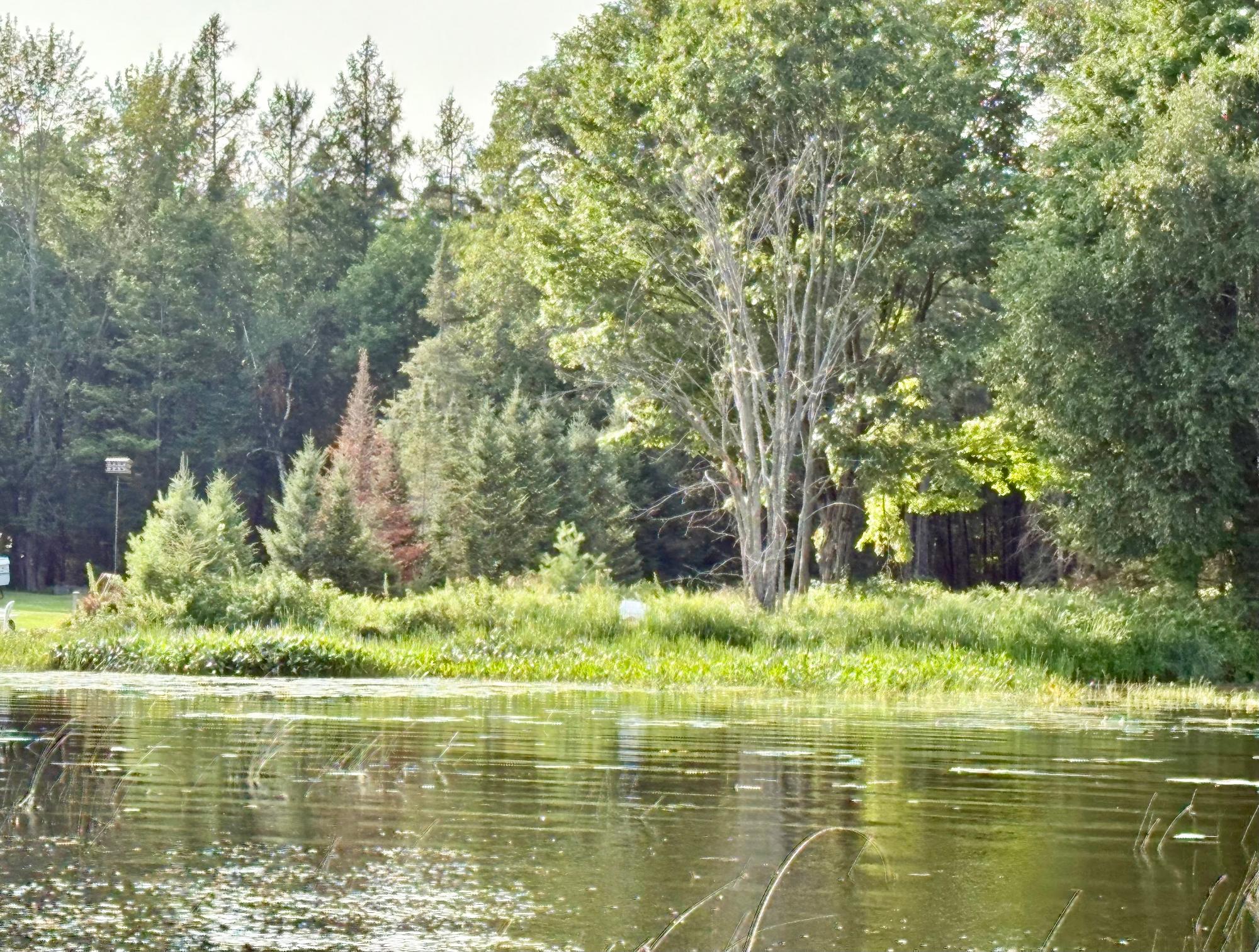 Pelican Lake Property 1134 Roberts Rd Photo 20