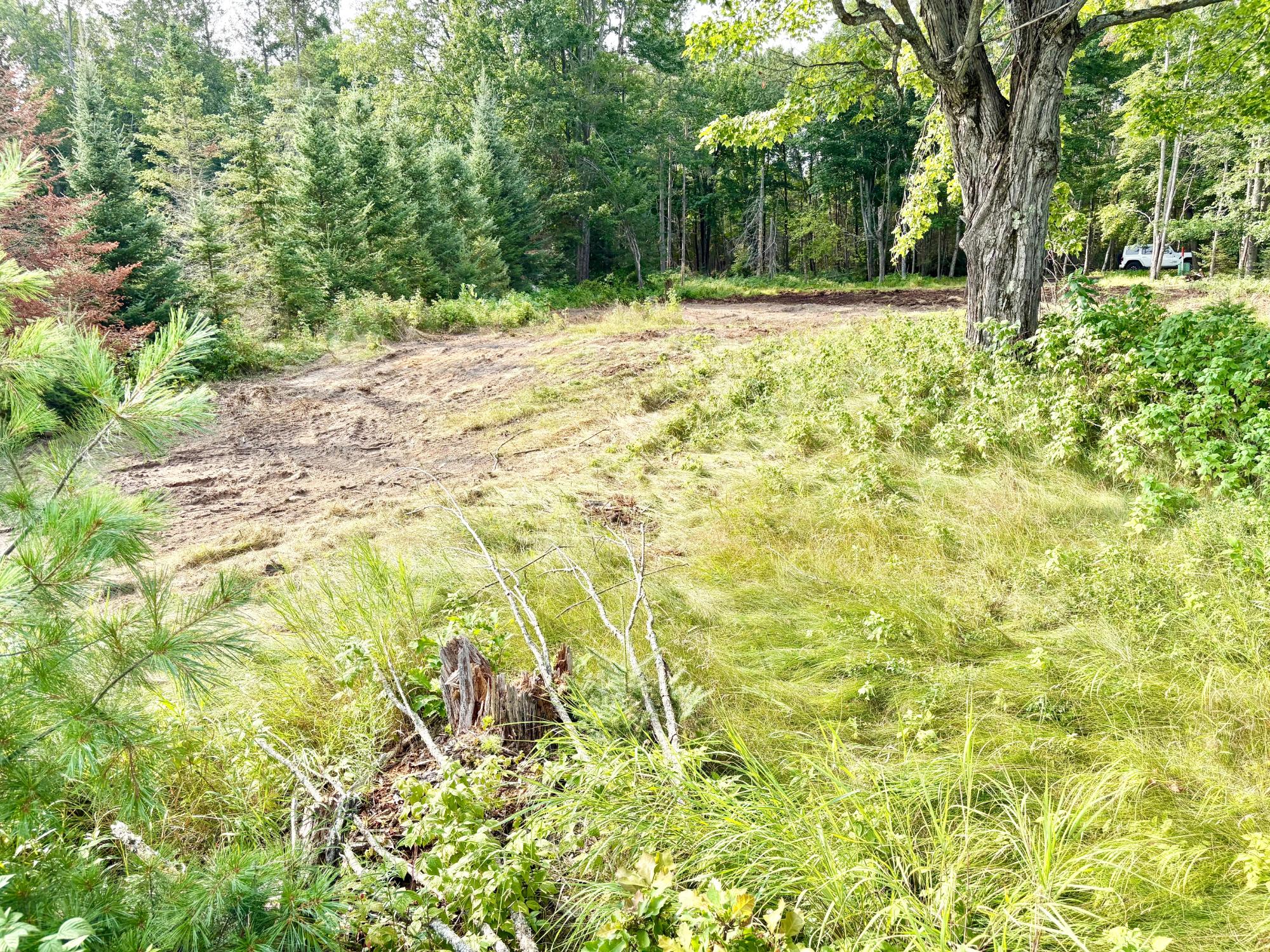 Pelican Lake Property 1134 Roberts Rd Photo 24