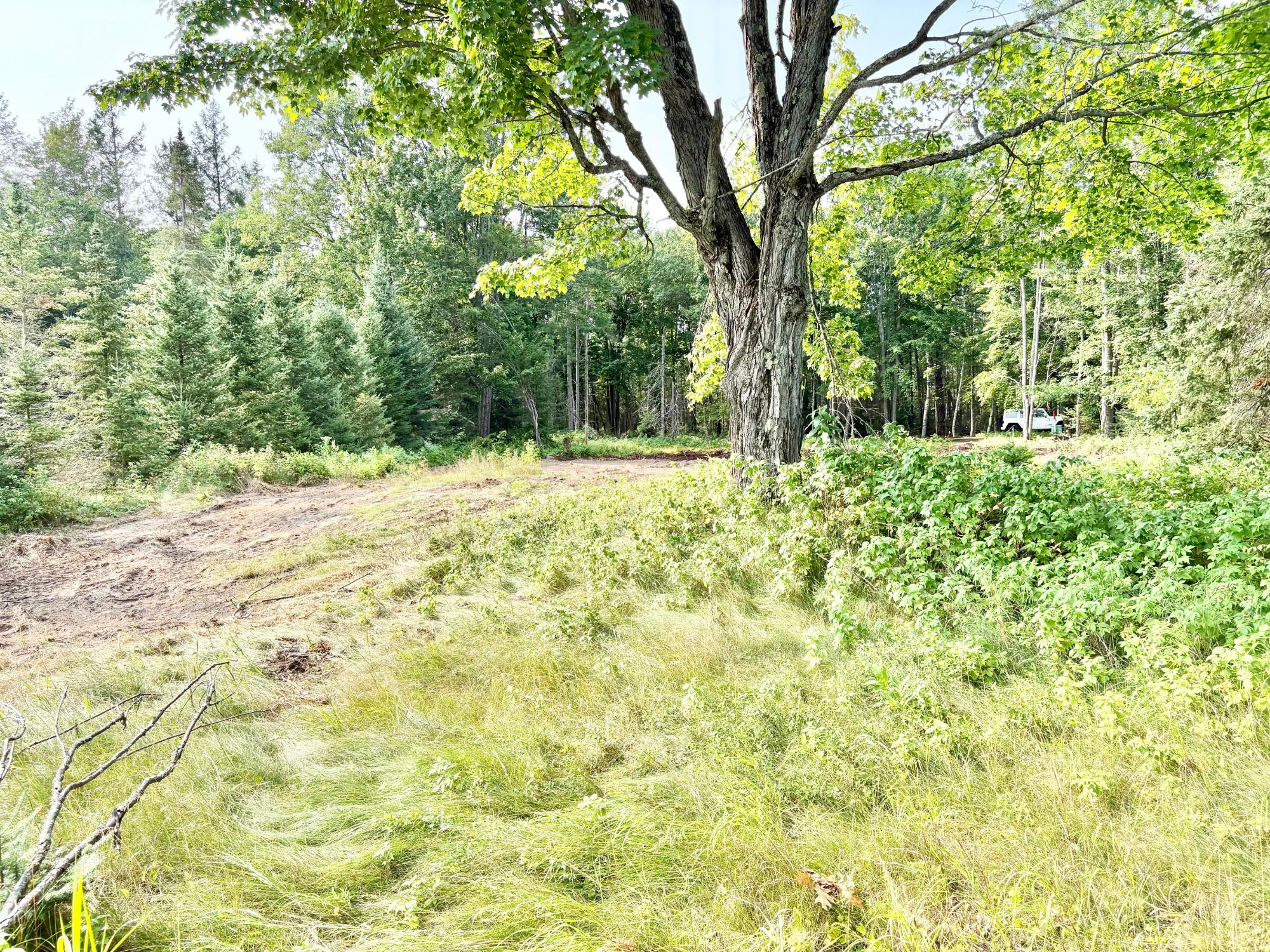 Pelican Lake Property 1134 Roberts Rd Photo 8