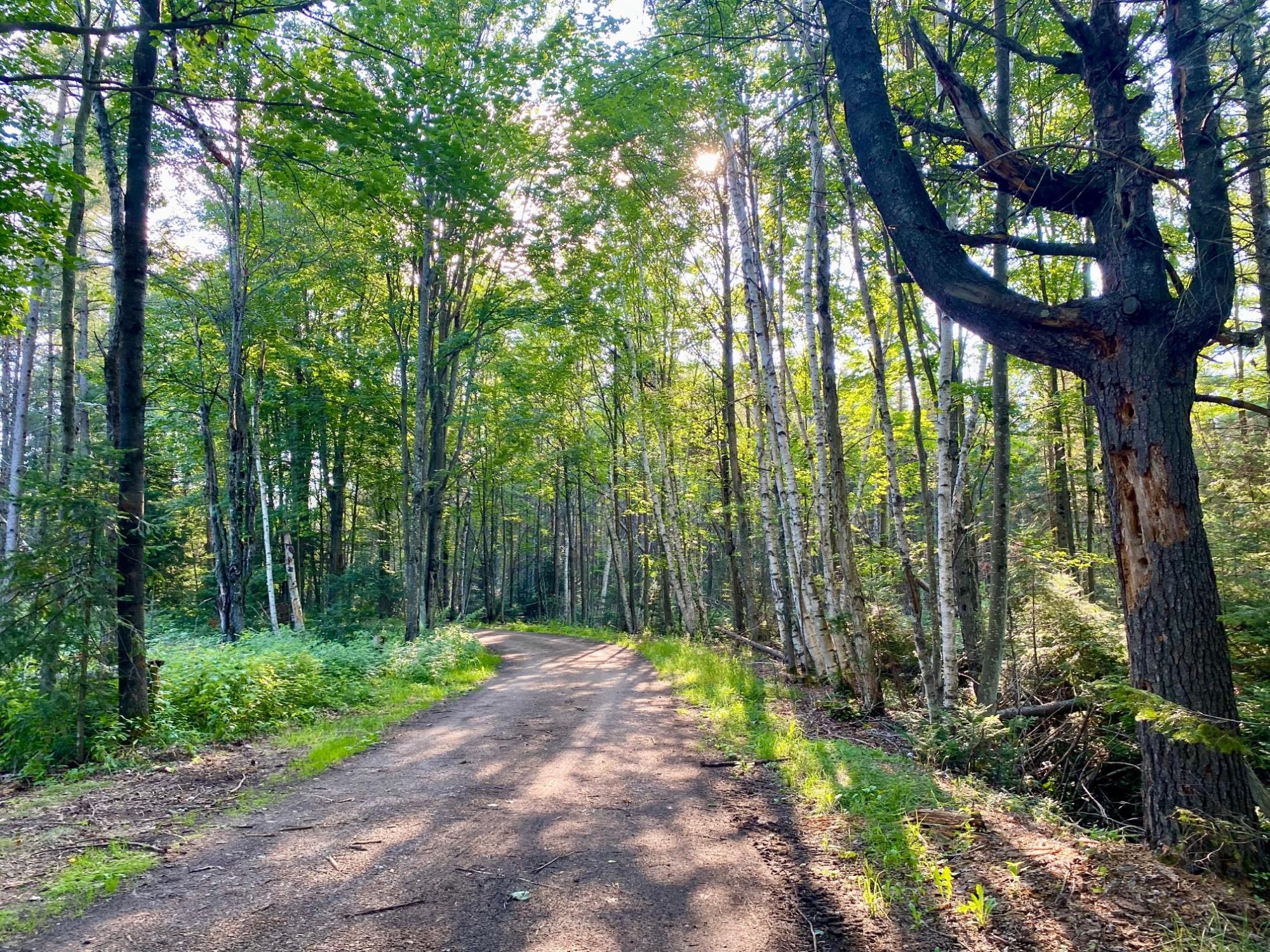 Pelican Lake Property 1134 Roberts Rd Photo 9
