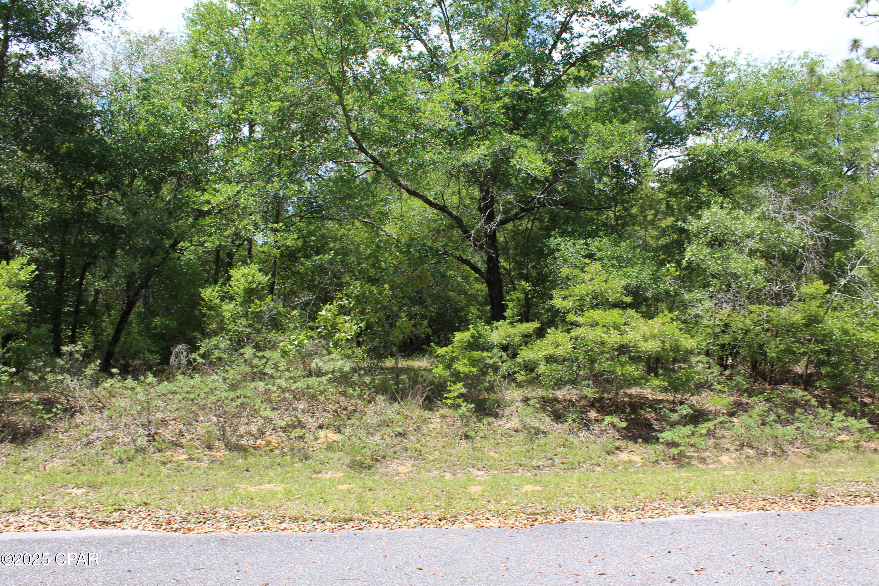 Details for Lot 6 Arnone Lane, Chipley, FL 32428