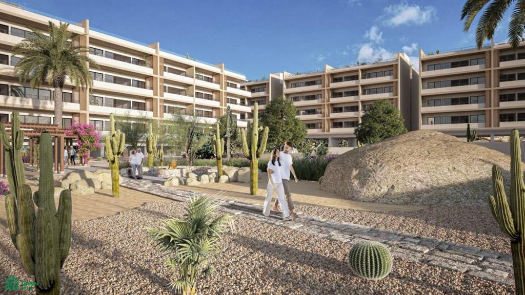 av cotero C306, El Tezal, Los Cabos, Baja California Sur