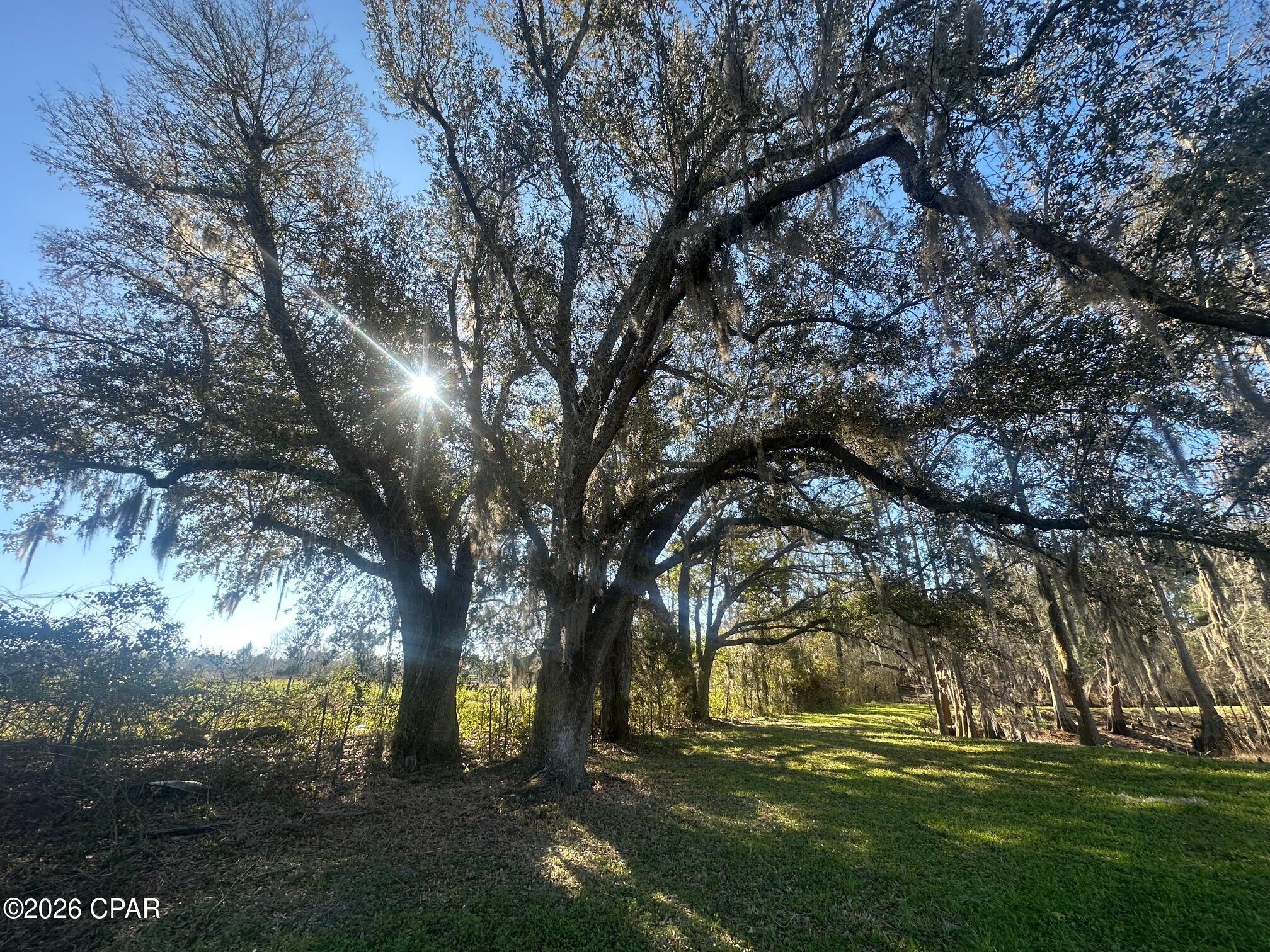 Image 3 For 7293 Highway 90