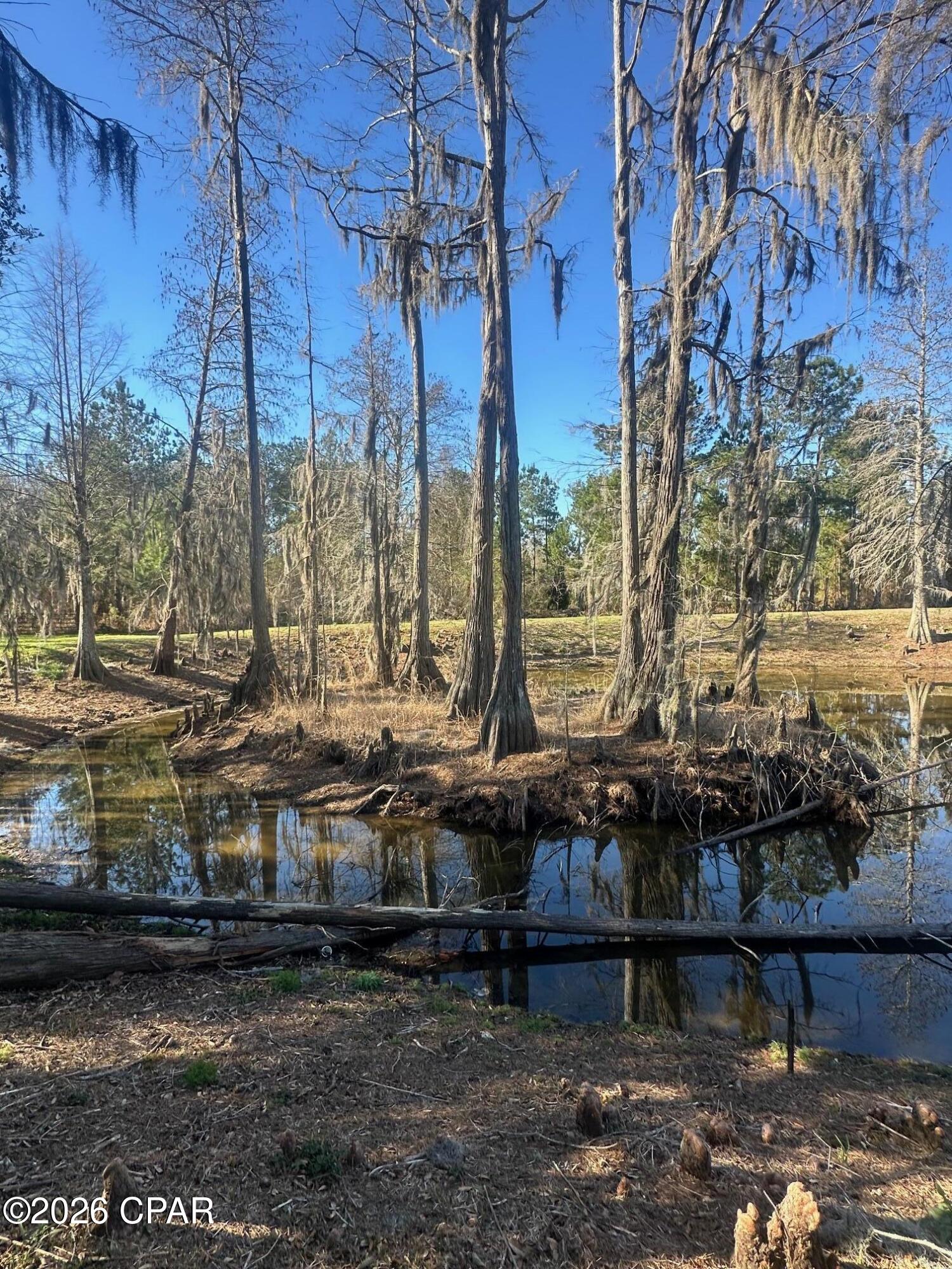 Image 31 For 7293 Highway 90