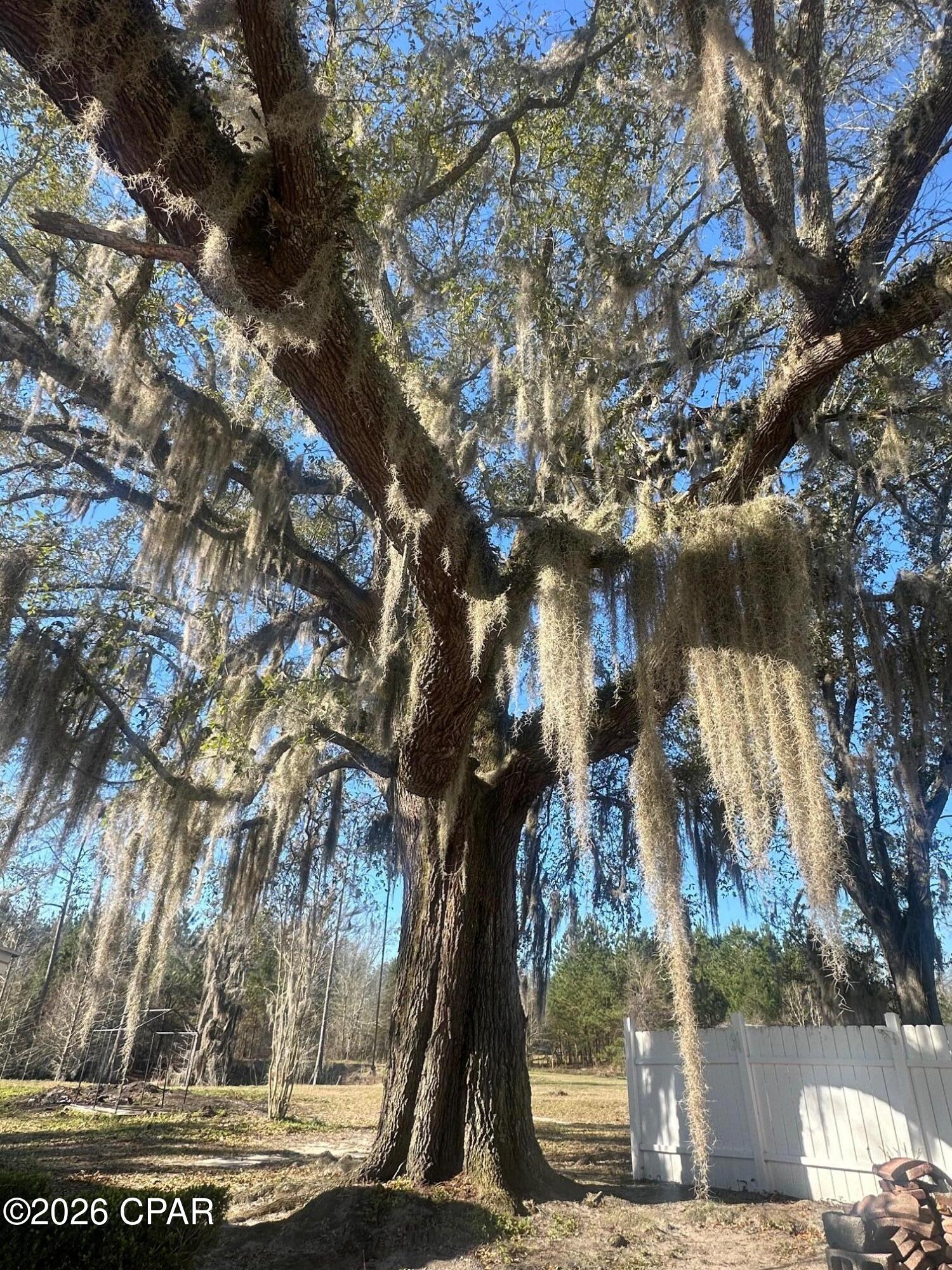 Image 38 For 7293 Highway 90