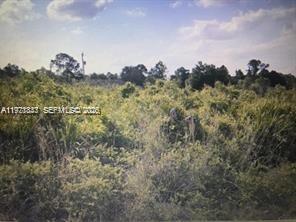 Lehigh Acres