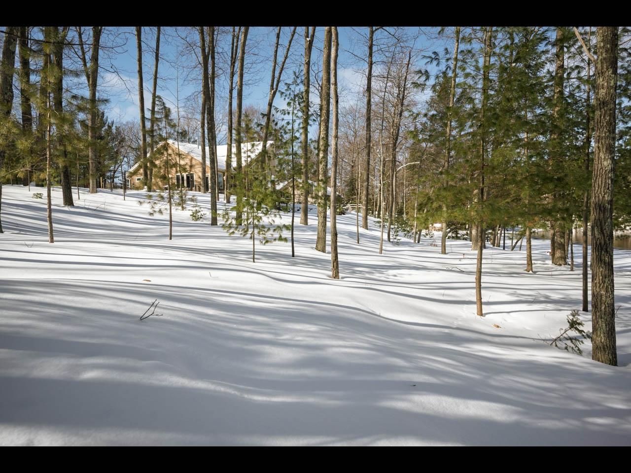 Undocumented Lake Property 8550 Kenwood Terrace Photo 31